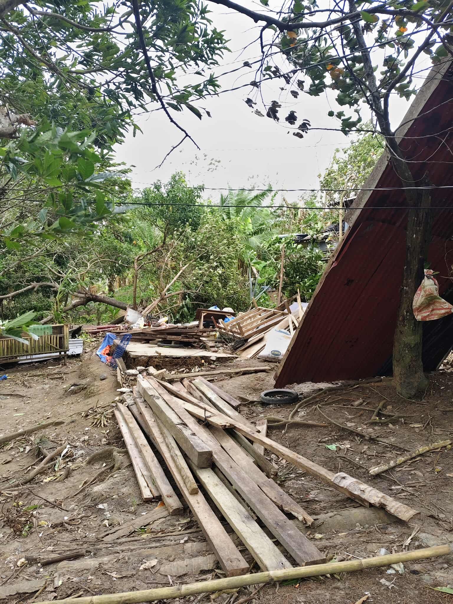 Support My Hometown in Southern Leyte Hit by Typhoon Tino campaign photo, 2 of 6