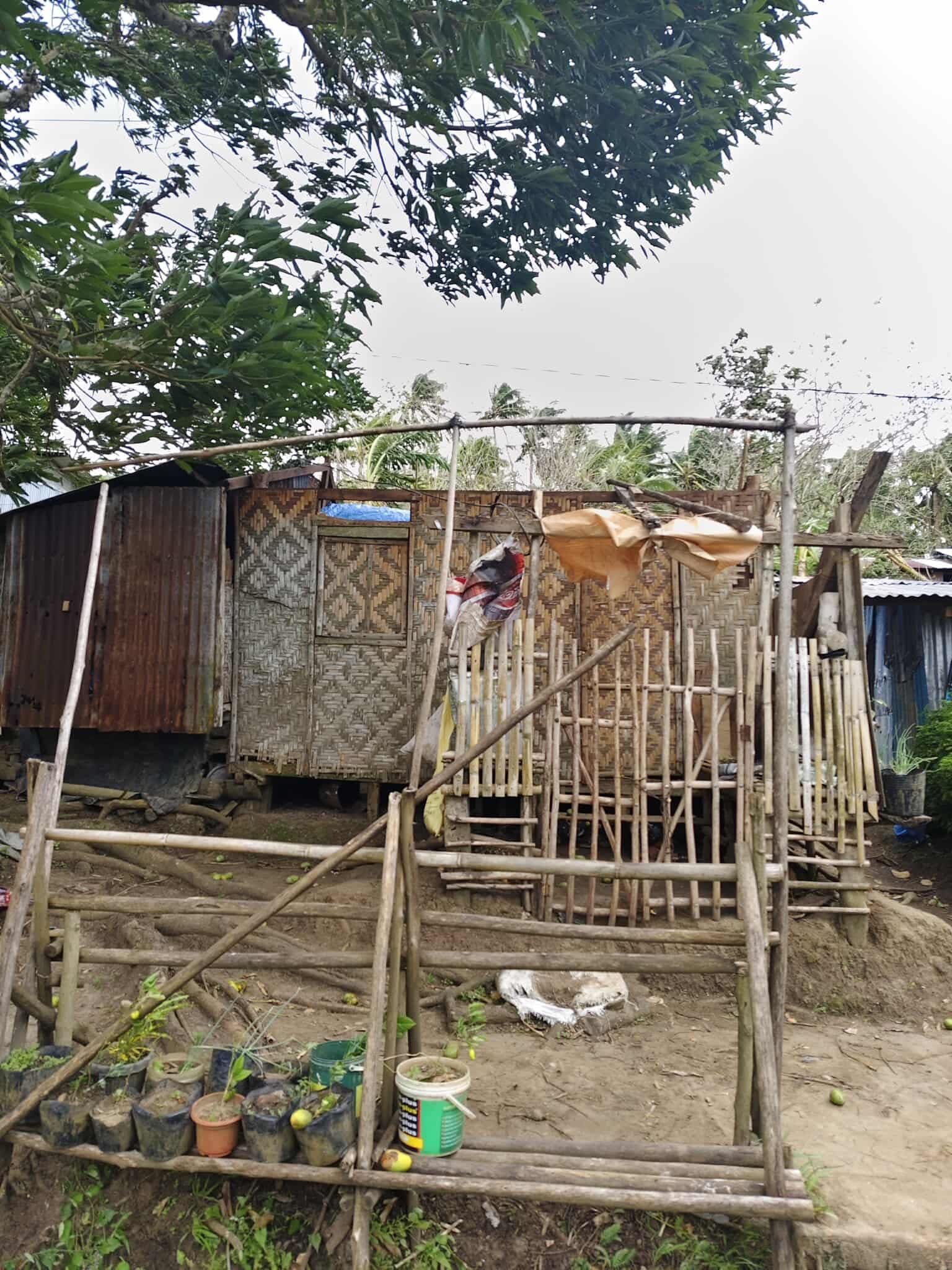 Support My Hometown in Southern Leyte Hit by Typhoon Tino campaign photo, 4 of 6