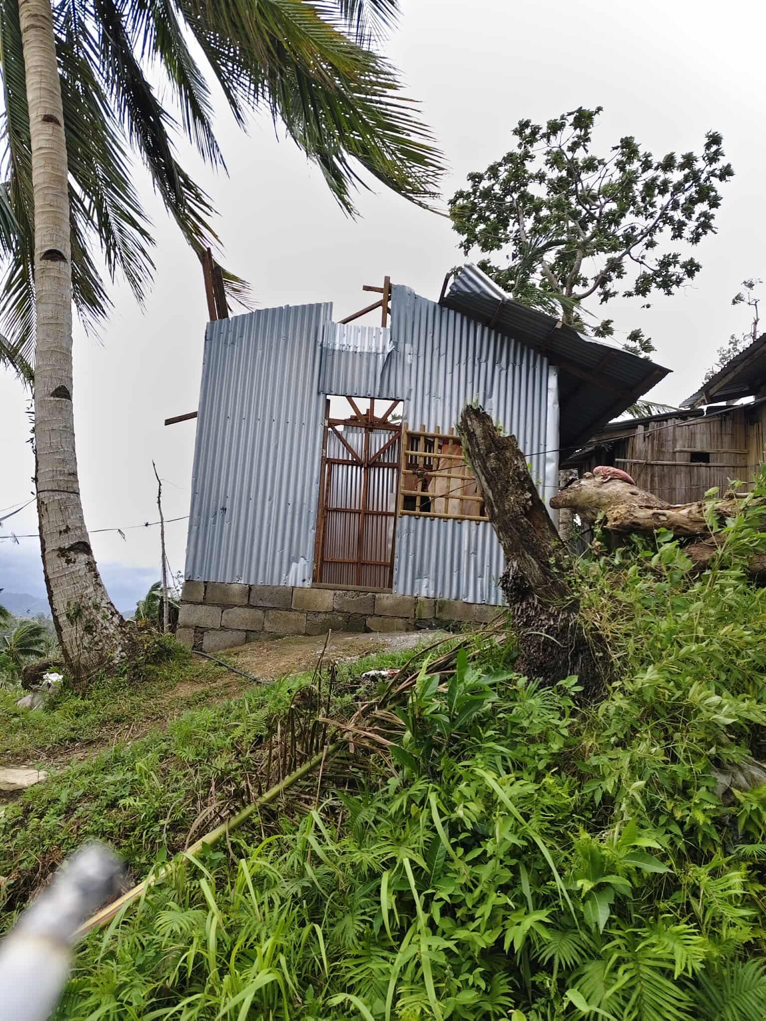 Support My Hometown in Southern Leyte Hit by Typhoon Tino campaign photo, 5 of 6