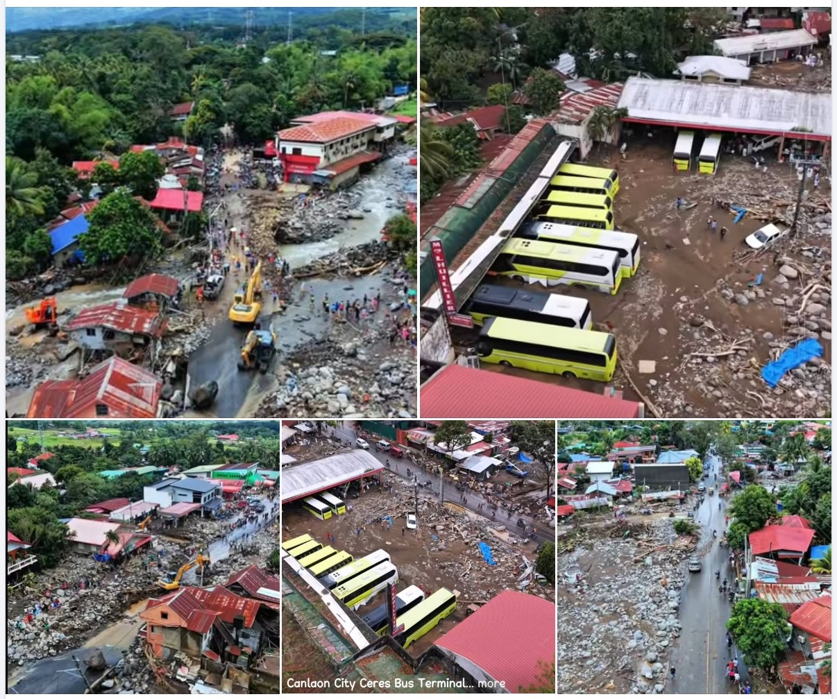 Help Negros Island Rebuild After Typhoon Tino campaign photo, 2 of 7