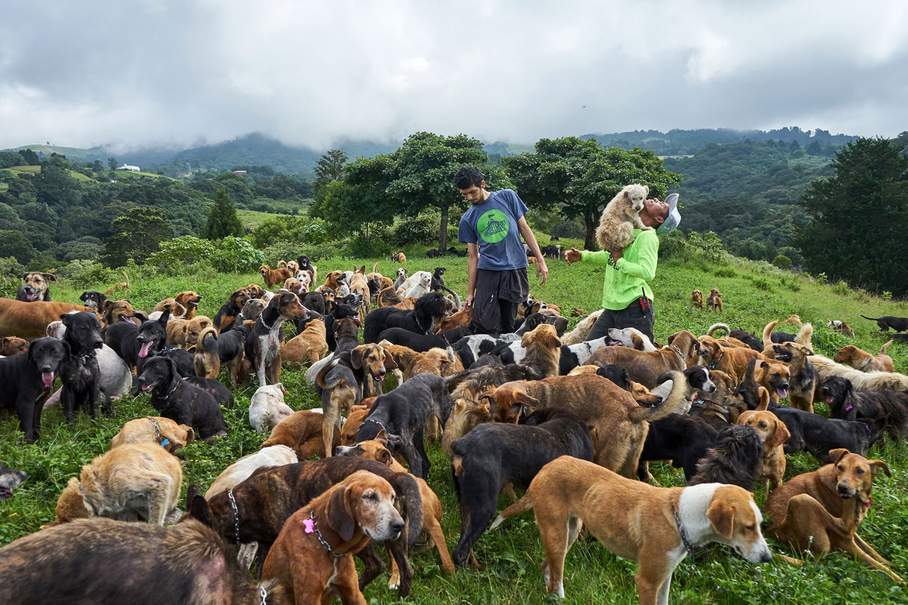 Support a Future Vet: Help Raise $5,000 for Costa Rica campaign photo, 2 of 4