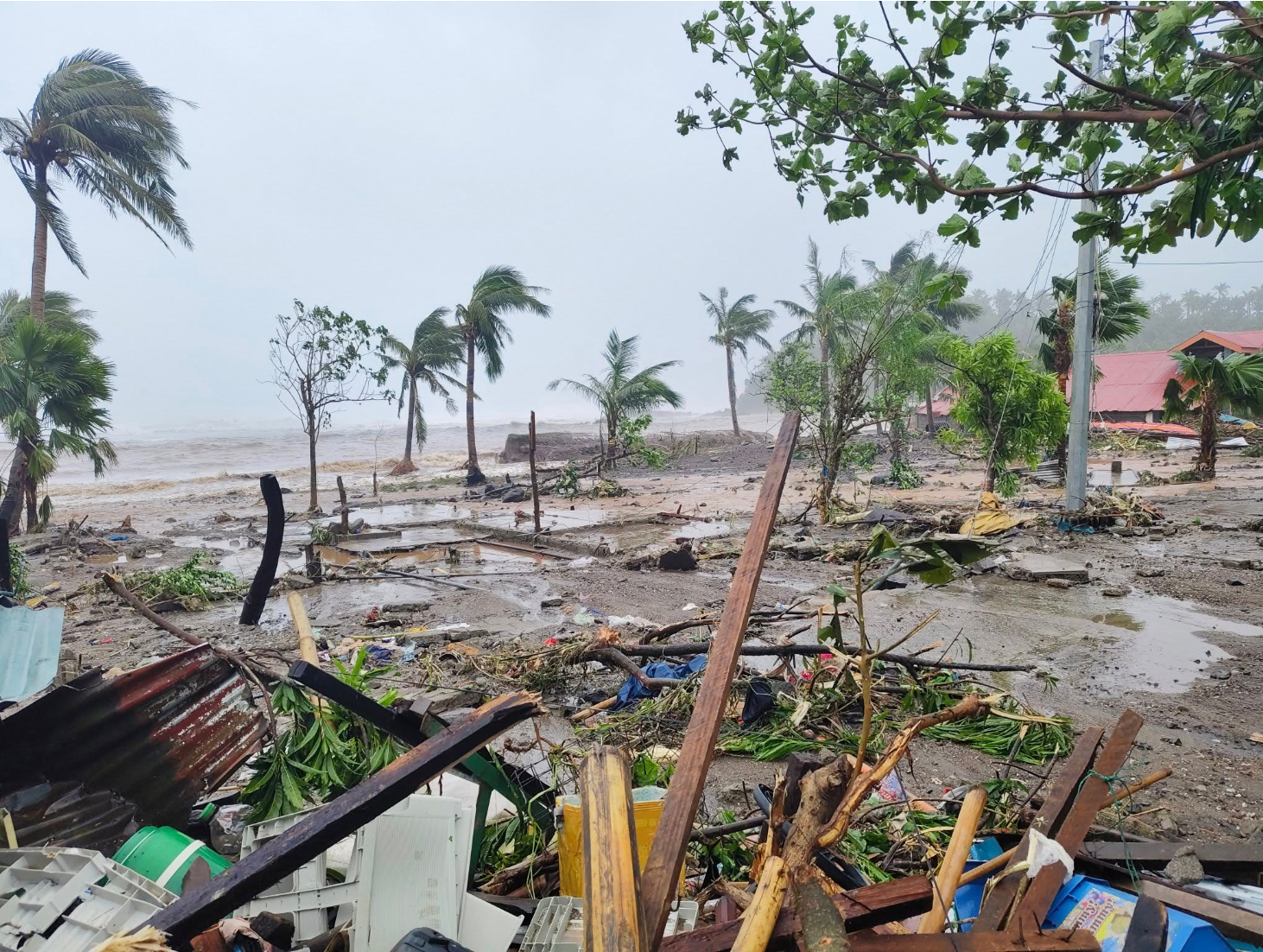Help My Grandma & Others Rebuild After the Typhoon campaign photo, 6 of 7