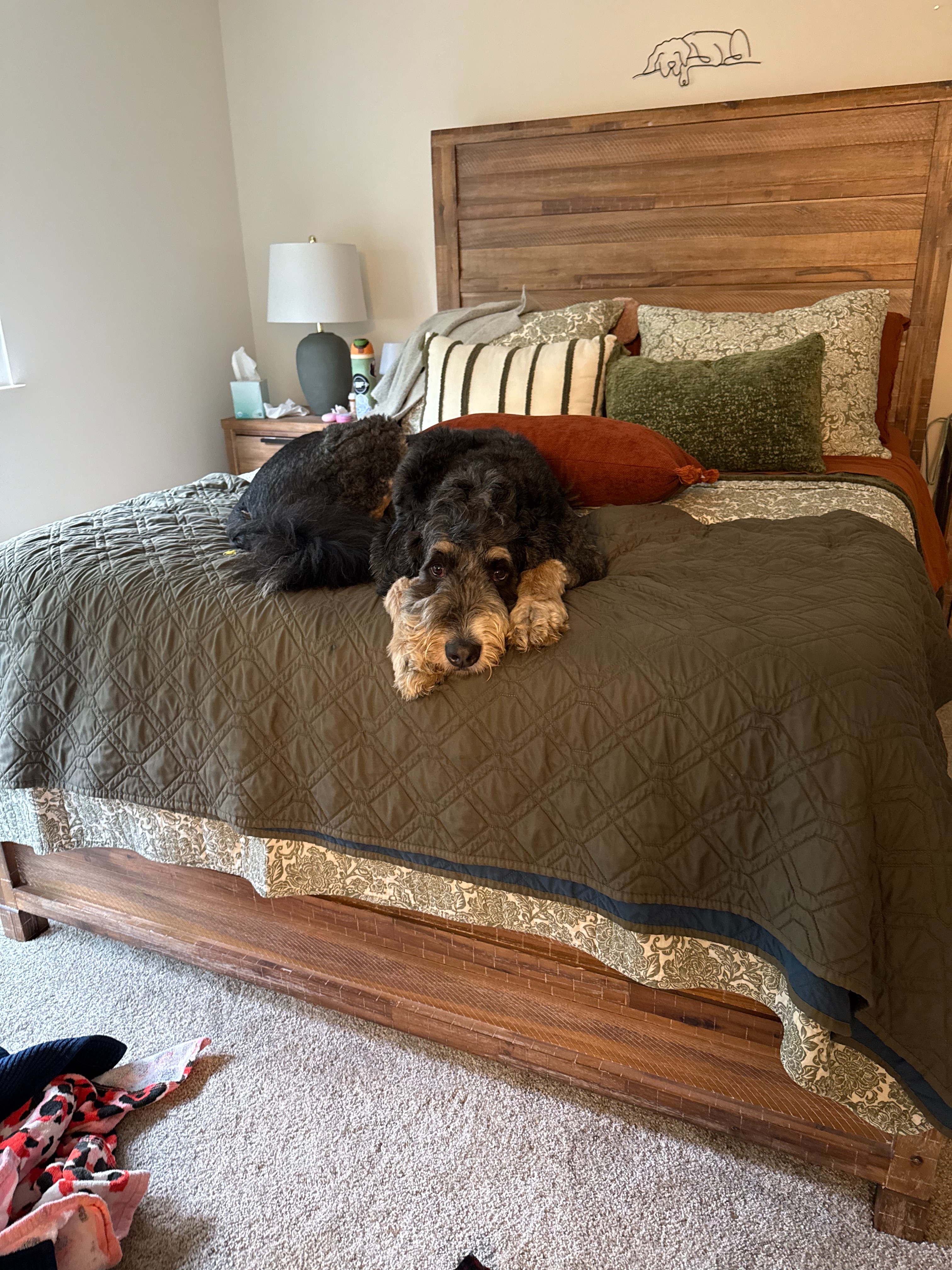 Holter’s Emergency Surgery: My Sweet Boy’s Fight to Survive campaign photo, 4 of 6