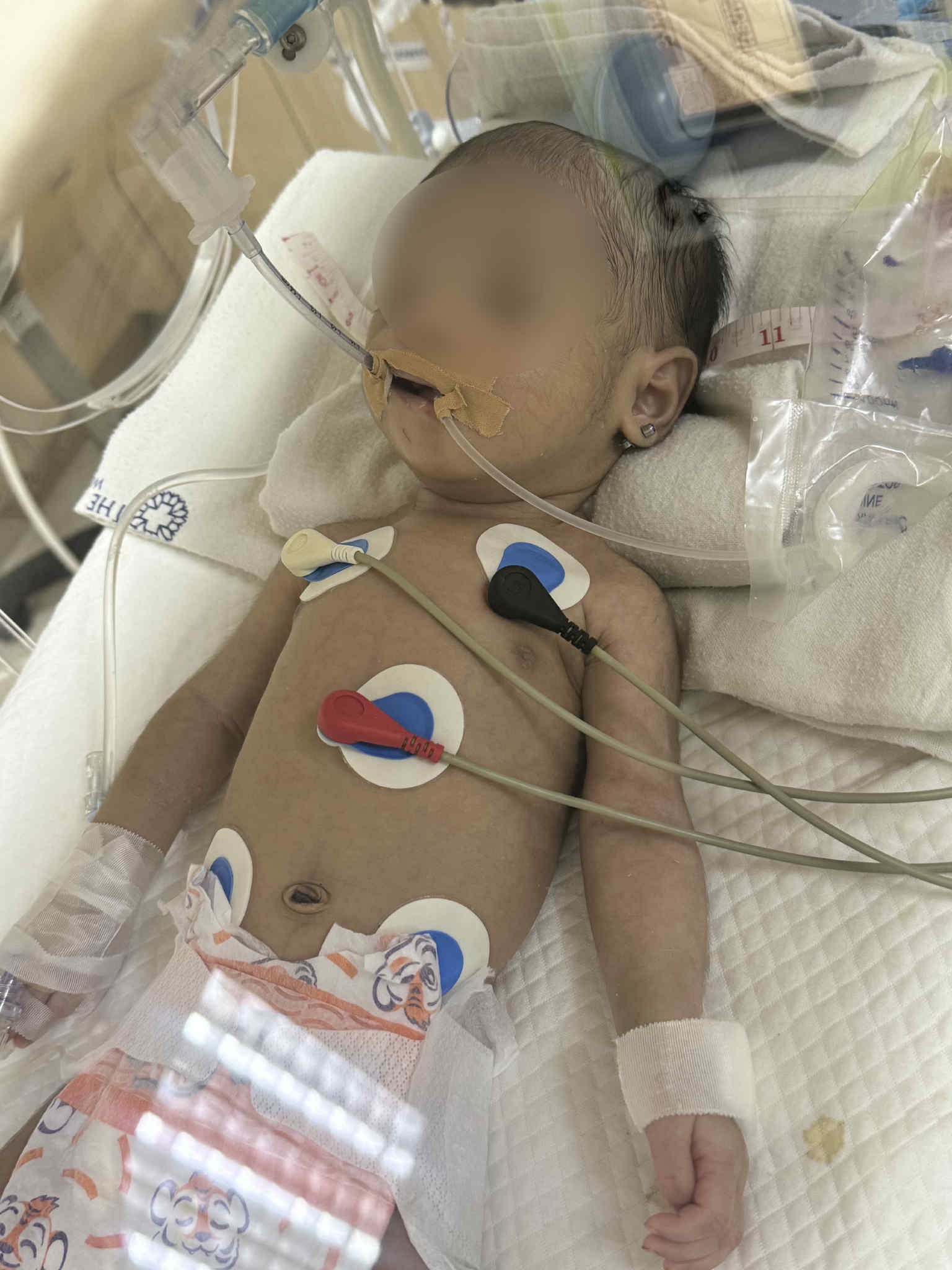 User-uploaded image 1