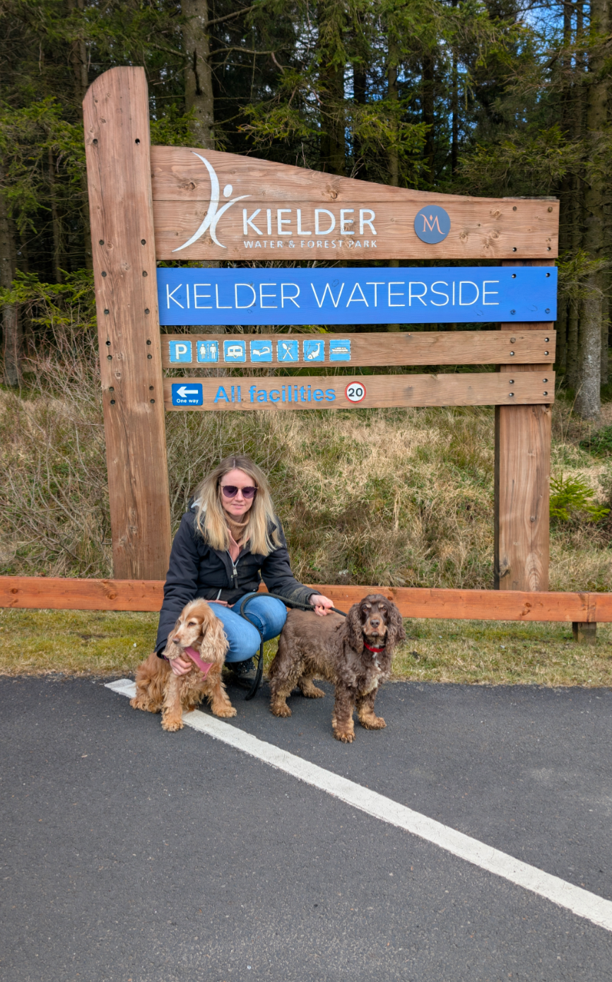Help rescue dog Lily get a heart scan campaign photo, 2 of 5