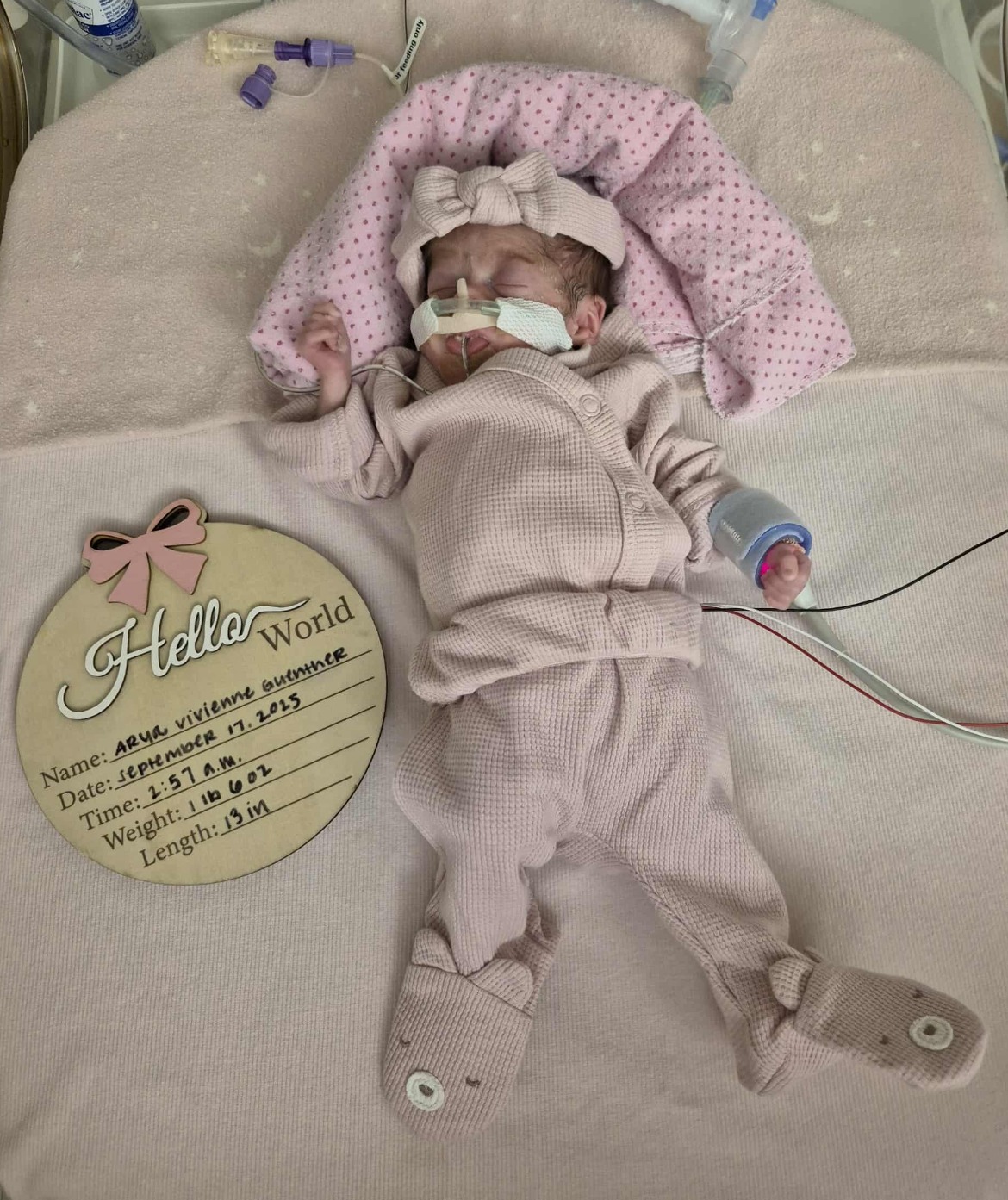 Support Baby Arya's NICU Journey campaign photo, 2 of 8
