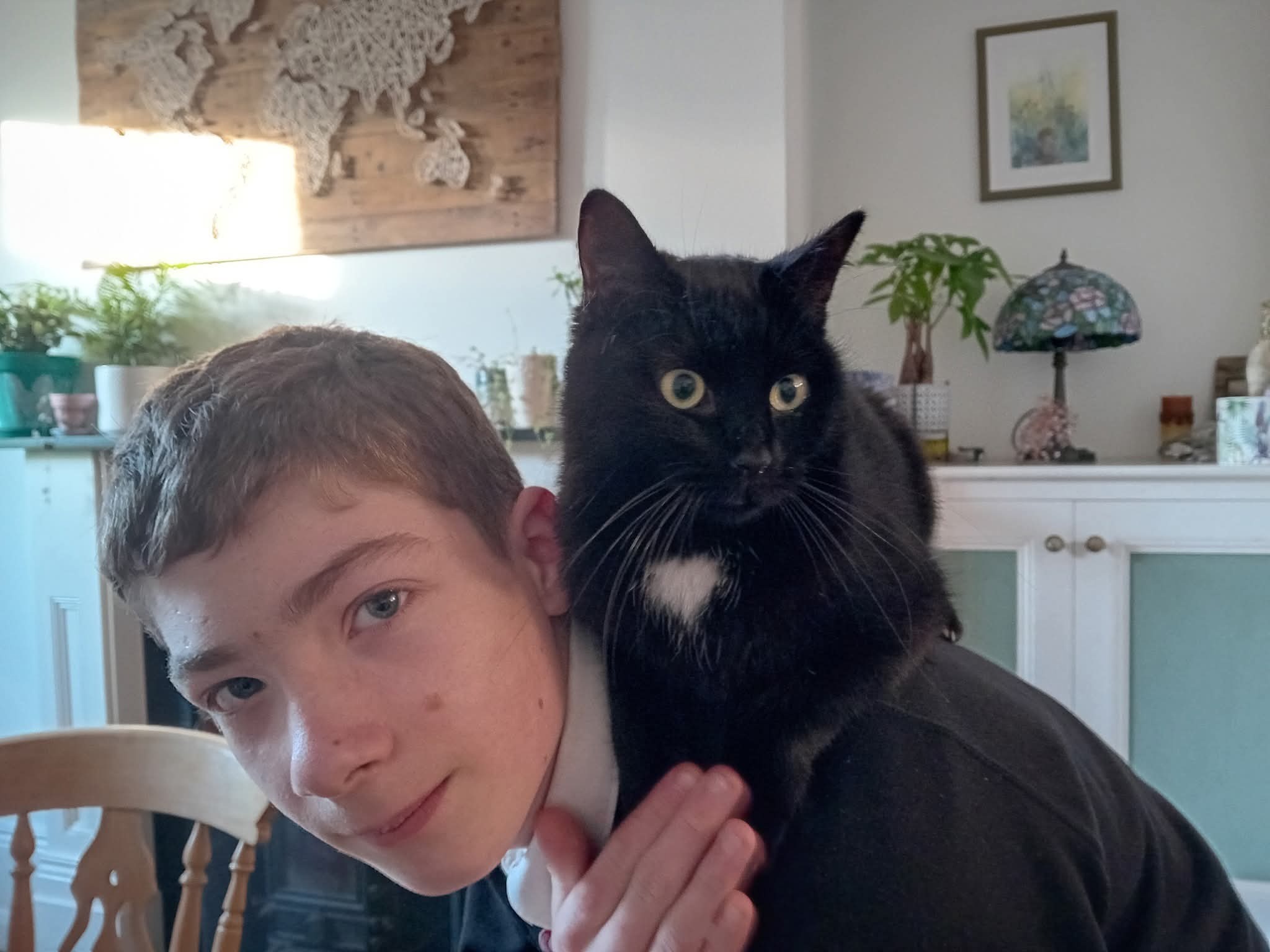 Help Sir Polo, Tavistock Cat raise money for local charities campaign photo, 7 of 8