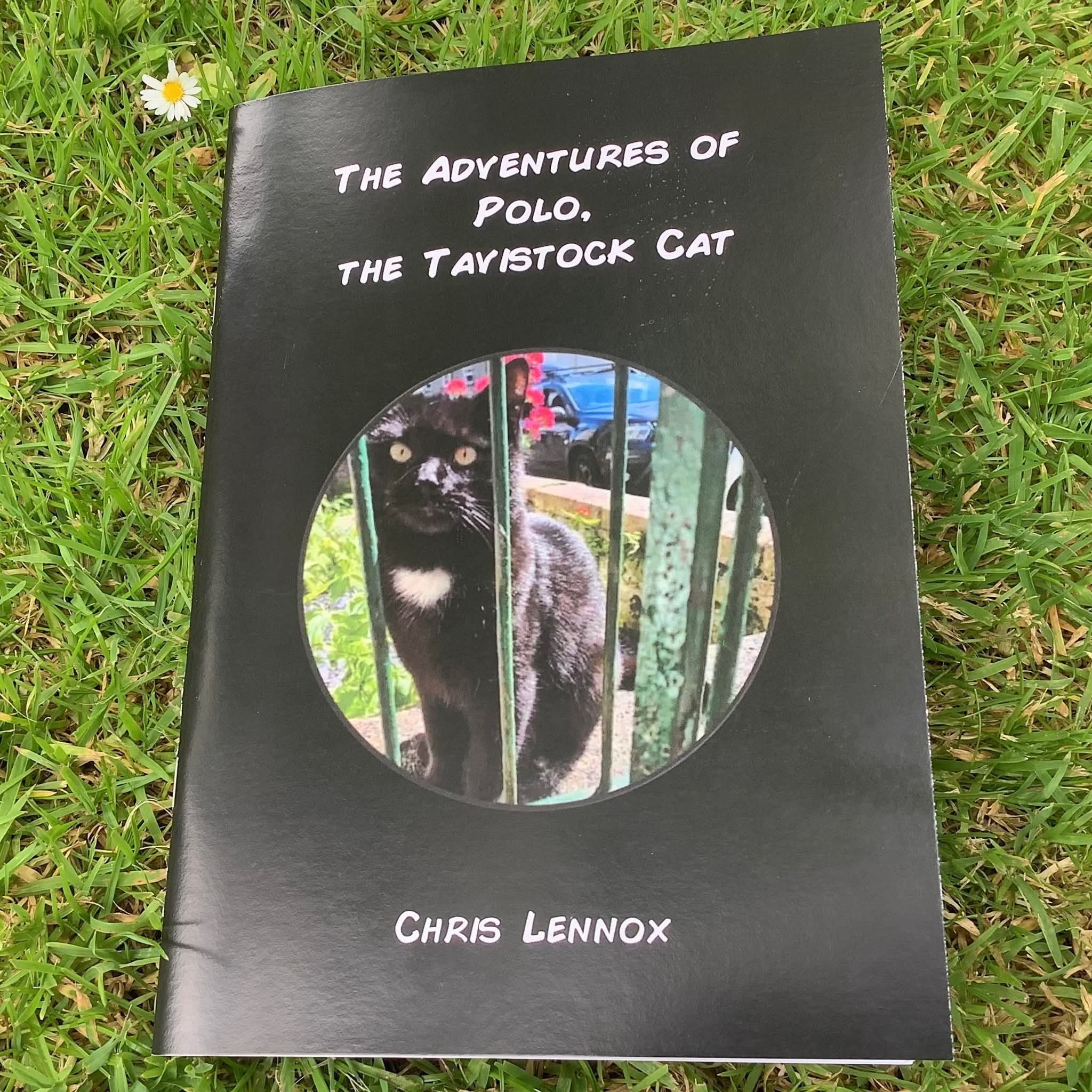Help Sir Polo, Tavistock Cat raise money for local charities campaign photo, 4 of 8