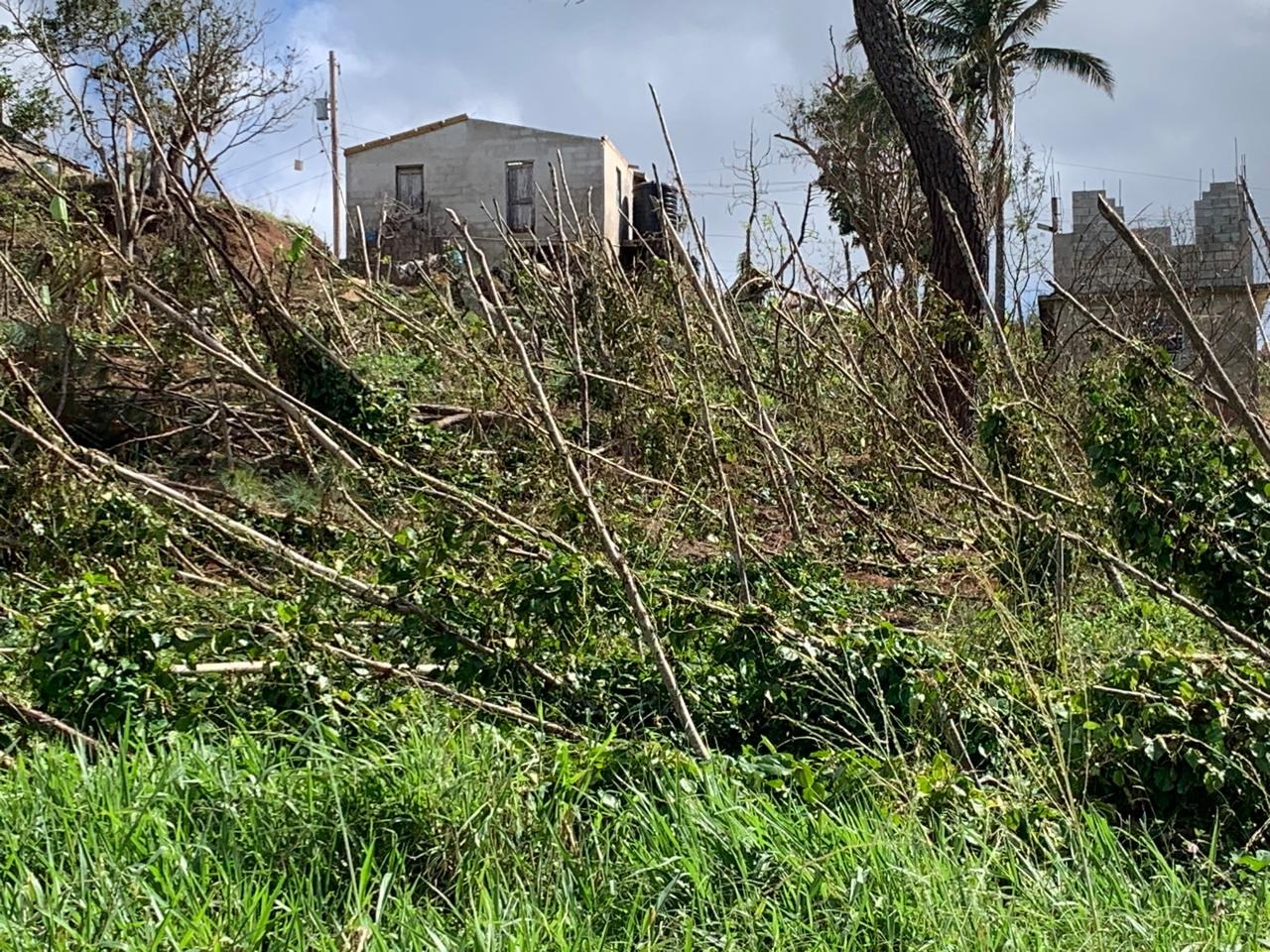 Help My Family Rebuild After Hurricane Melissa campaign photo, 2 of 8