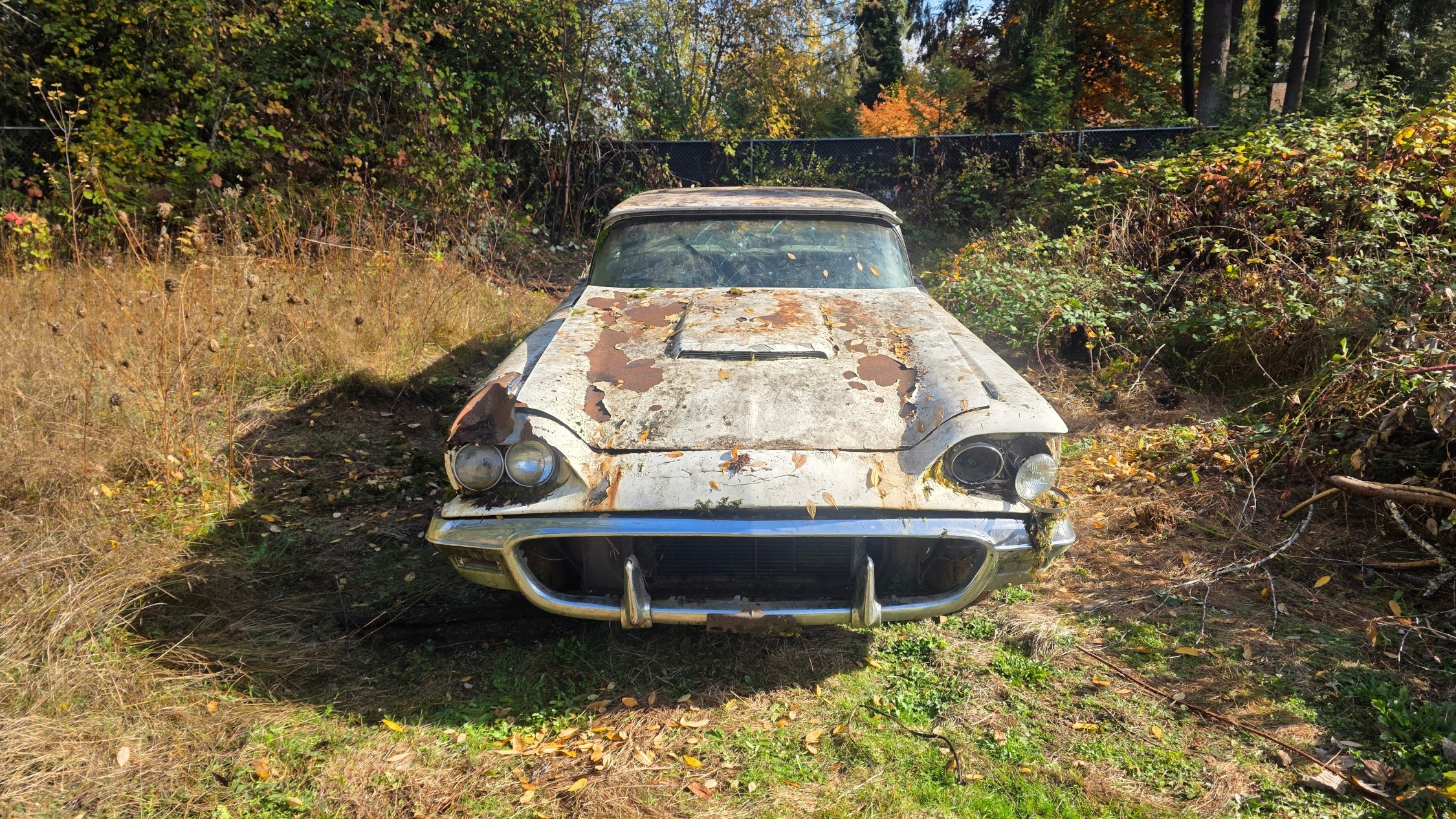 Help James Restore a Classic 1959 Thunderbird campaign photo, 6 of 7