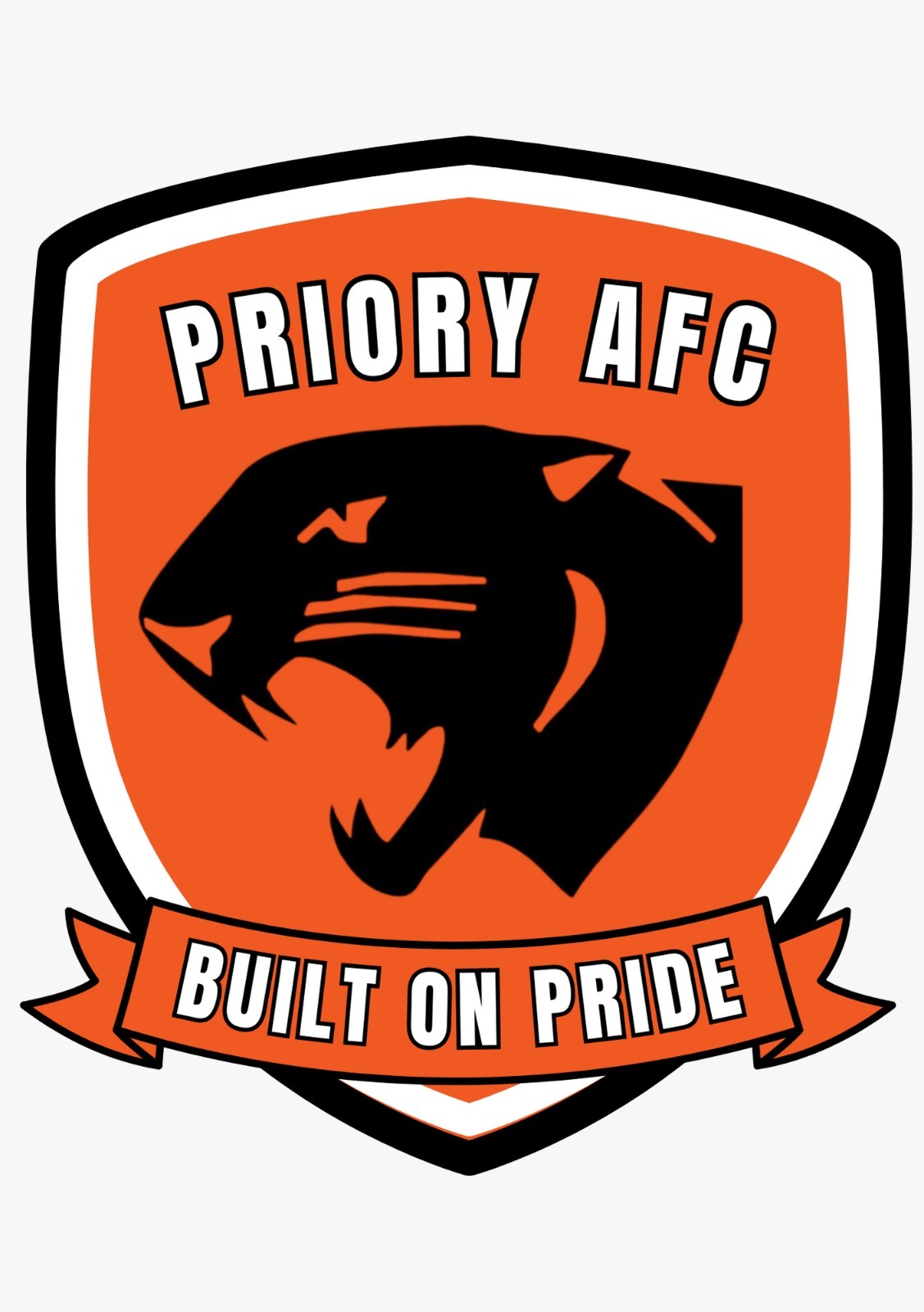Priory Tigers u10s campaign photo, 2 of 5