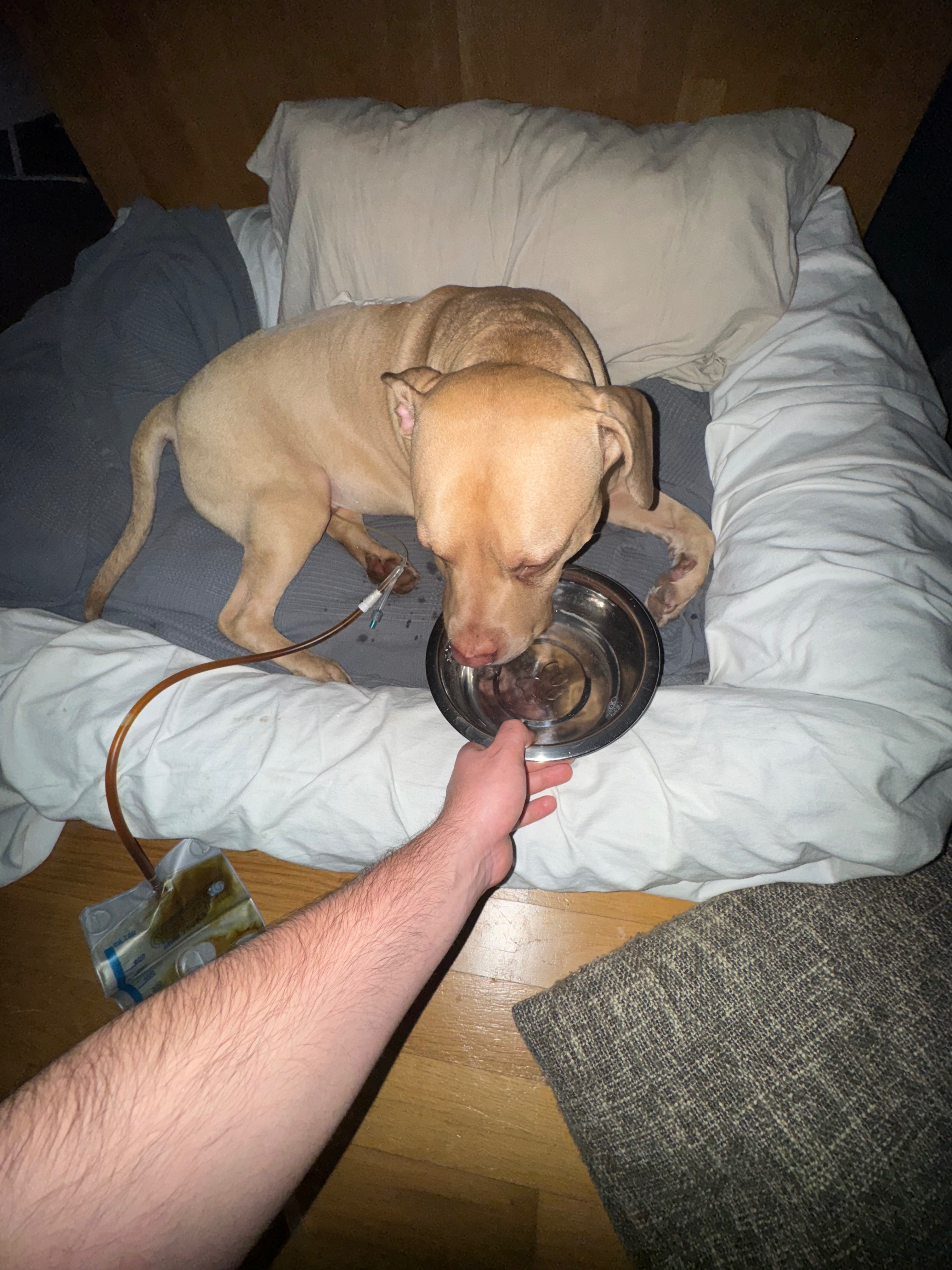 ICE wieder auf die Beine bringen campaign photo, 5 of 6
