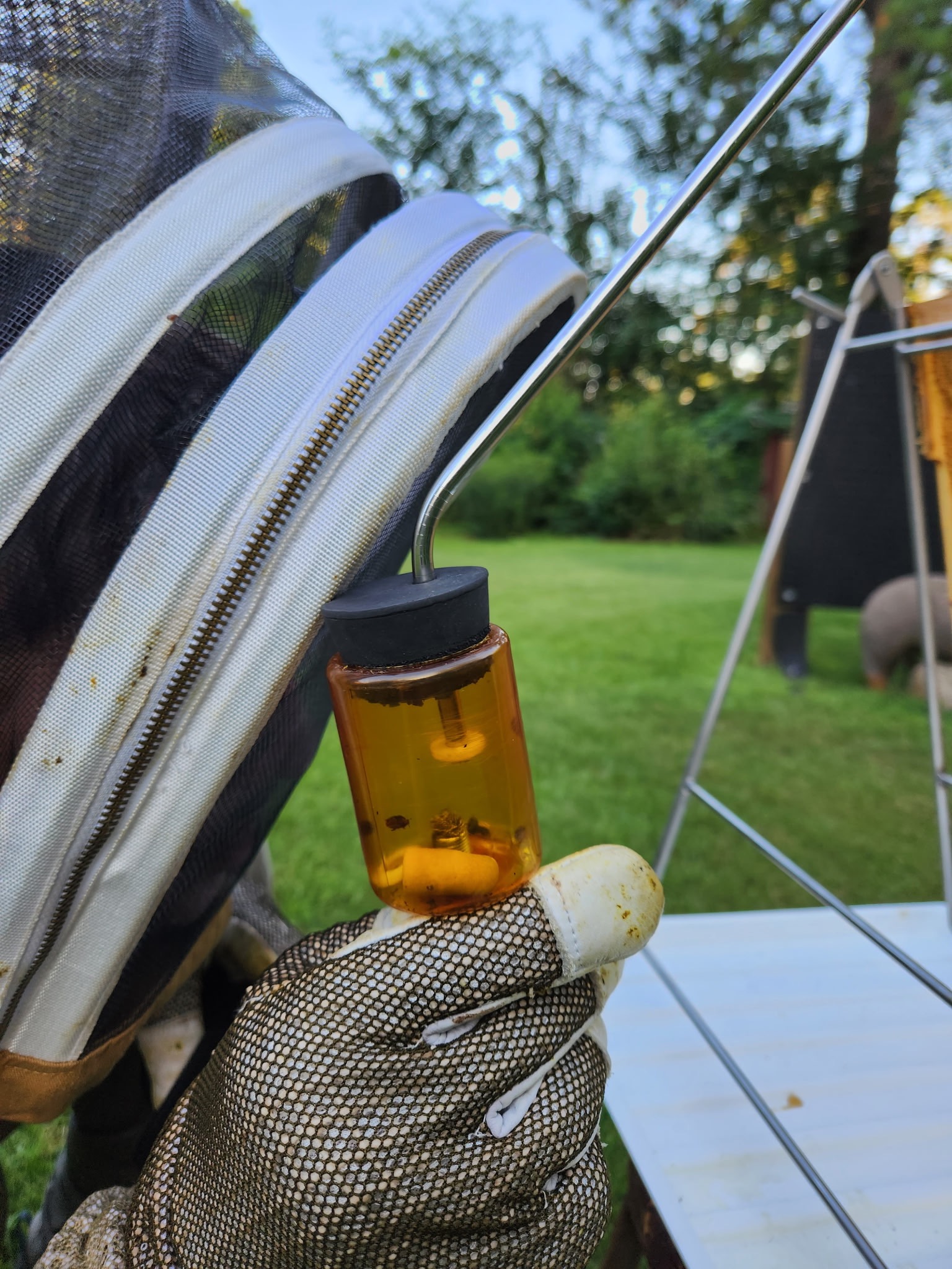 Support Scott Lucas’s Bee Saving Invention campaign photo, 6 of 7