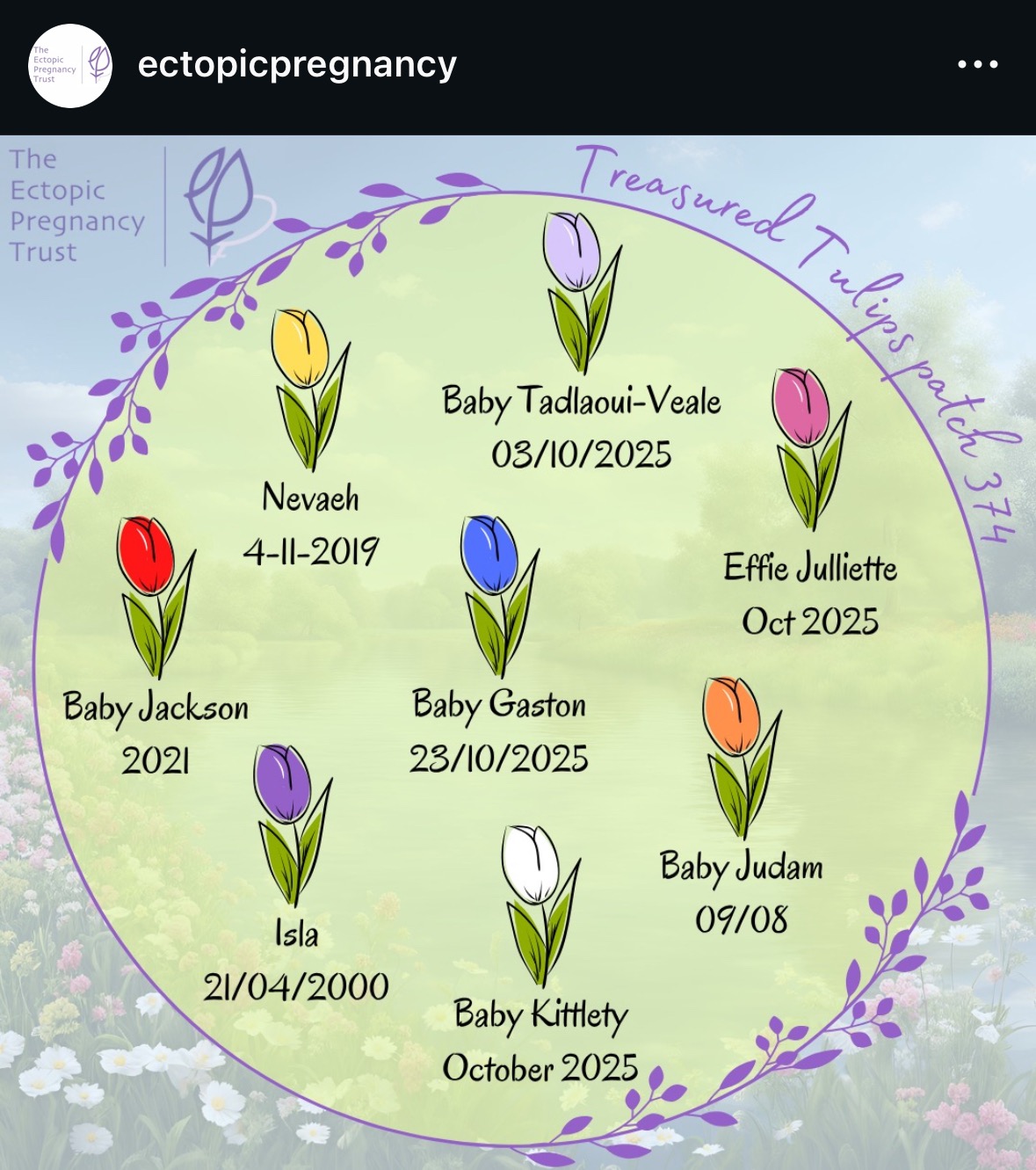 Raising Awareness & Money for The Ectopic Pregnancy Trust campaign photo, 2 of 4