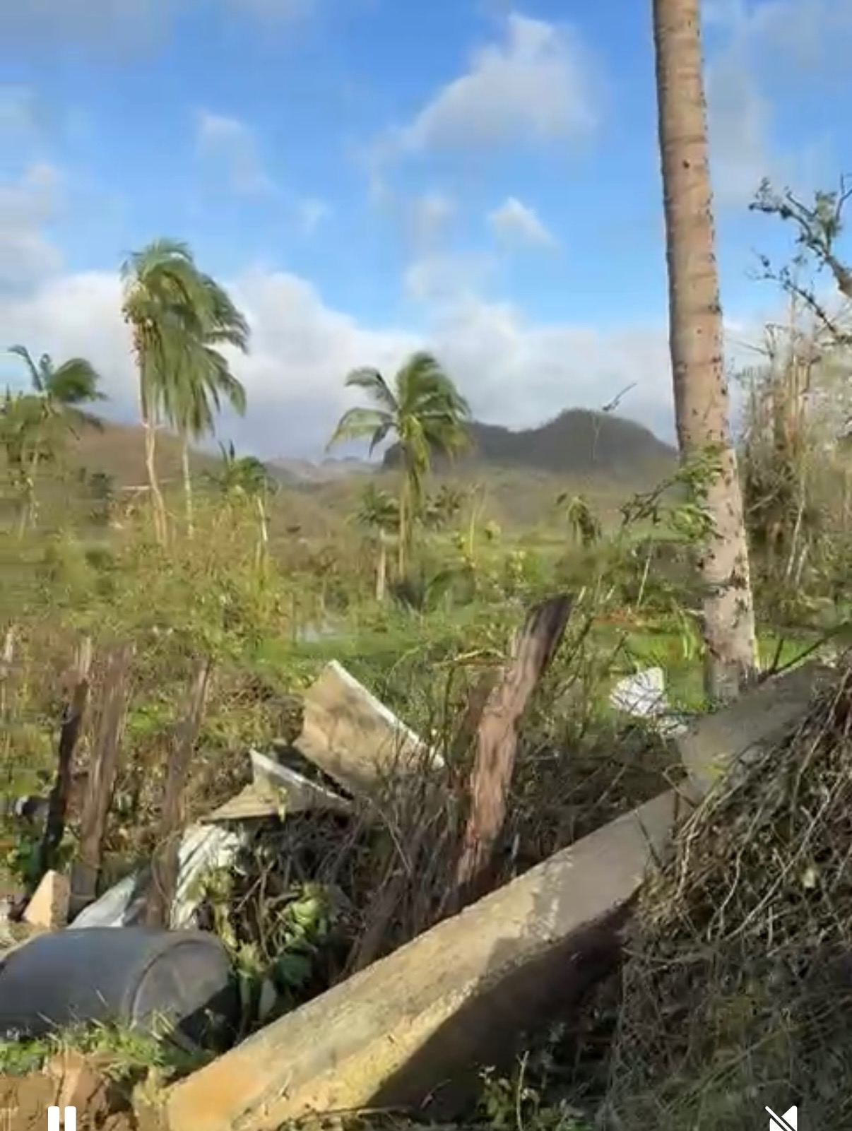 Support St. Elizabeth Families Post-Hurricane Melissa campaign photo, 2 of 8