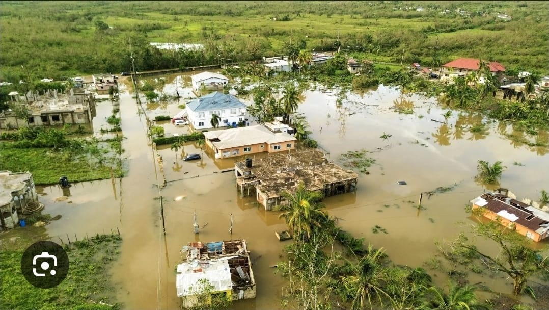 User-uploaded image 1