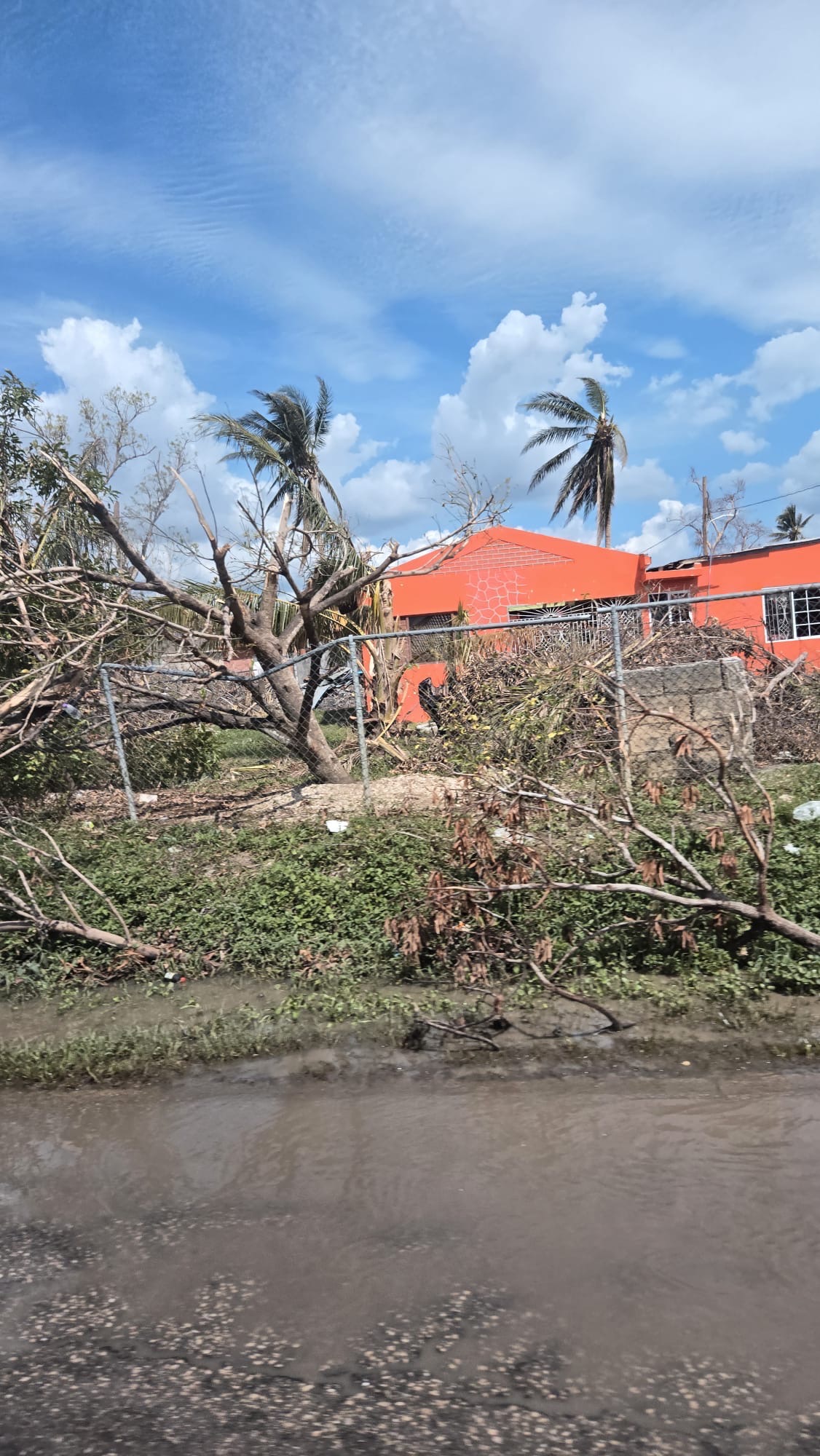 Support Jamaica's Recovery from Hurricane Melissa campaign photo, 6 of 8