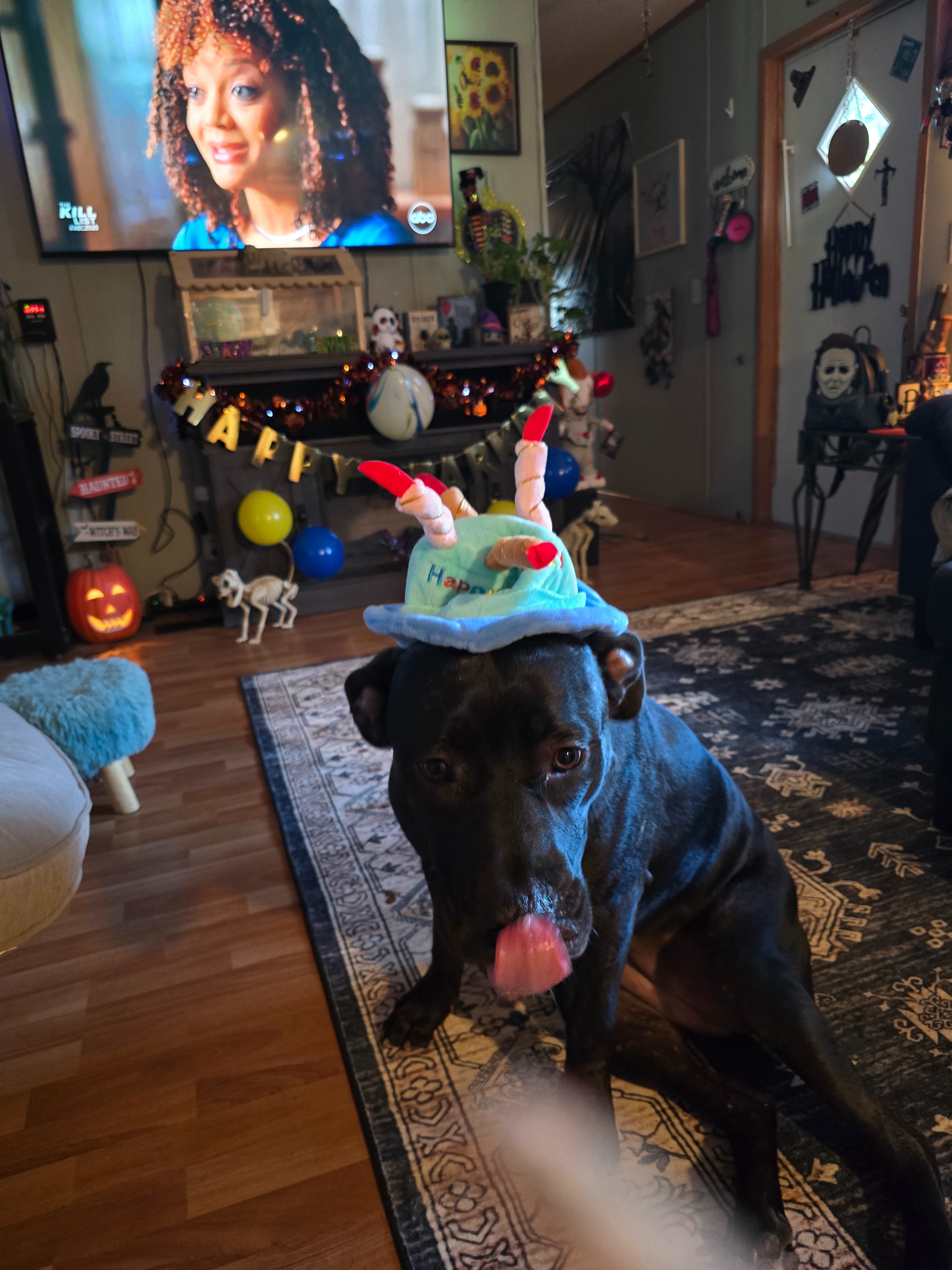 Support Maleficent's Crucial ACL Surgery campaign photo, 4 of 8