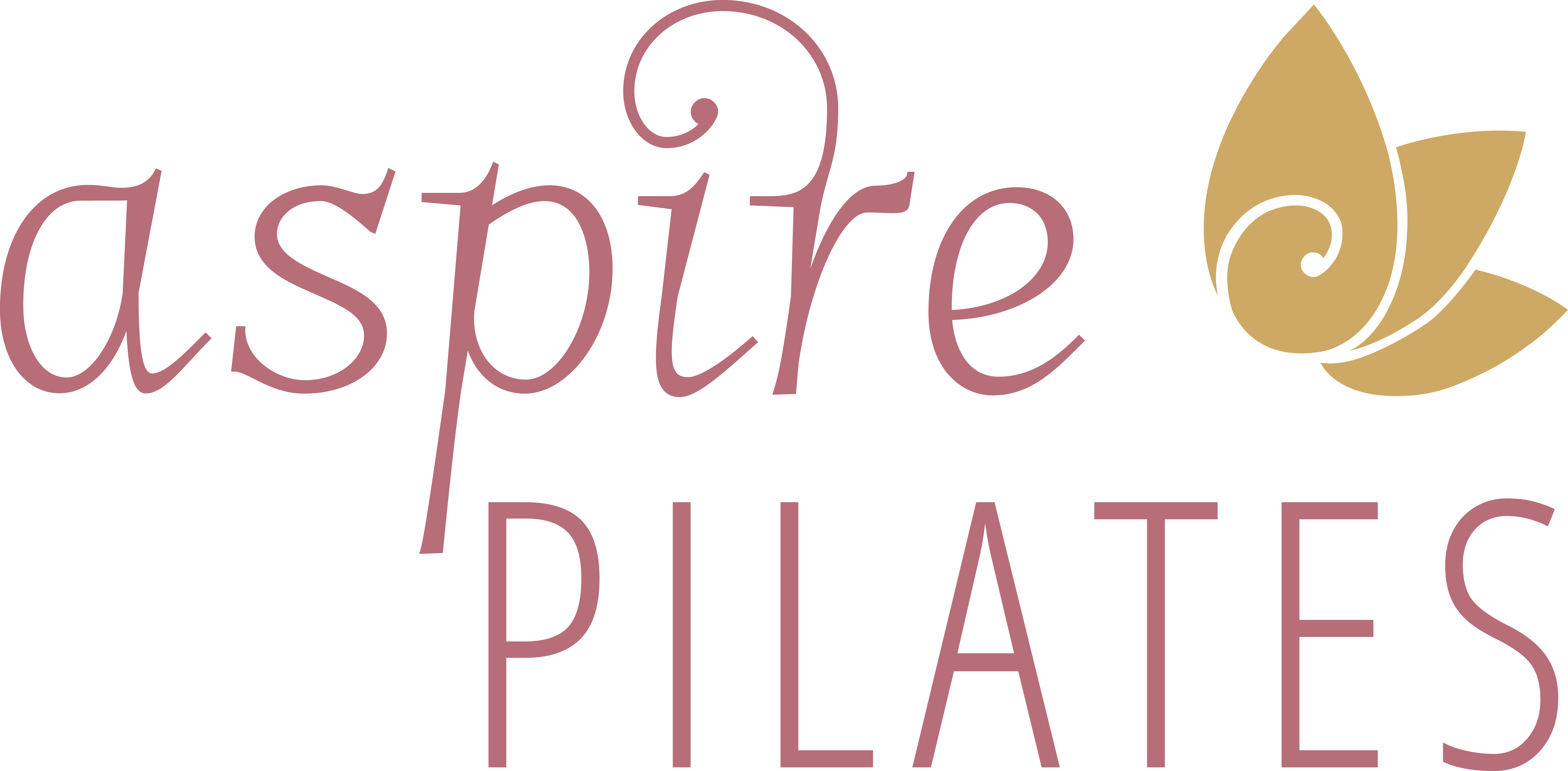 Support Amy's Recovery and Aspire Pilates campaign photo, 5 of 5