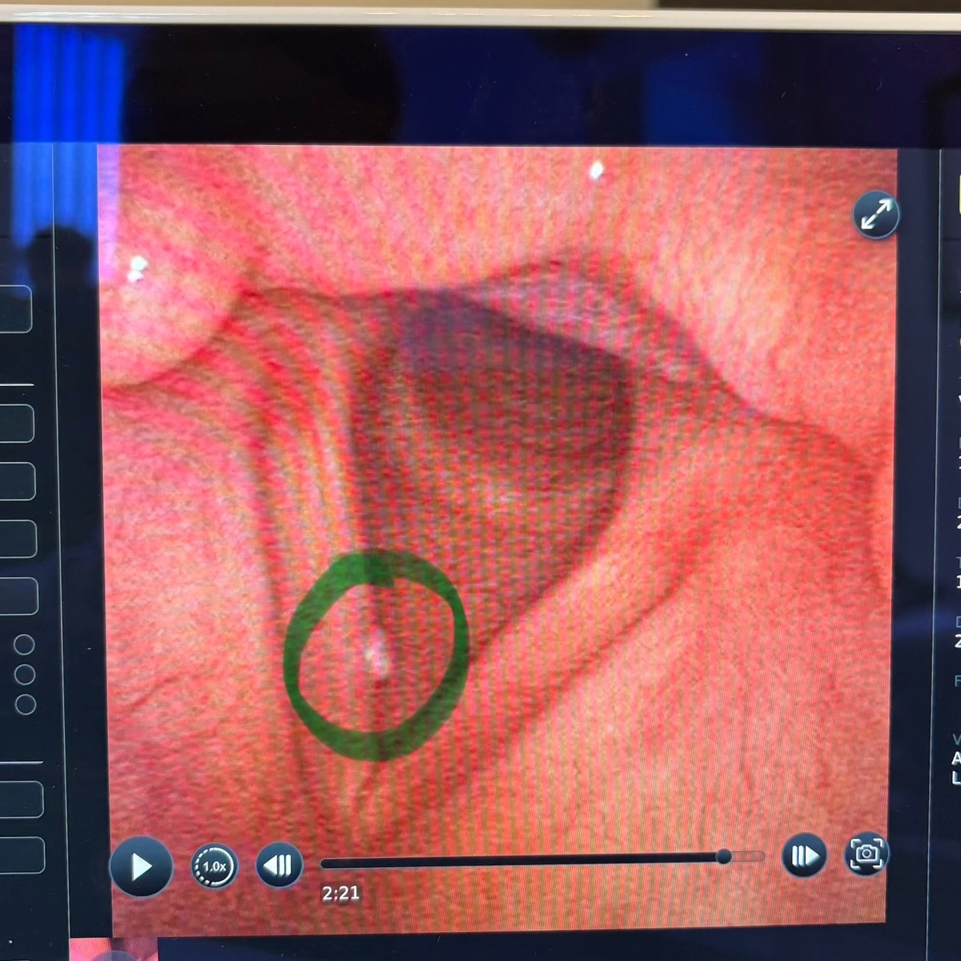 User-uploaded image 1