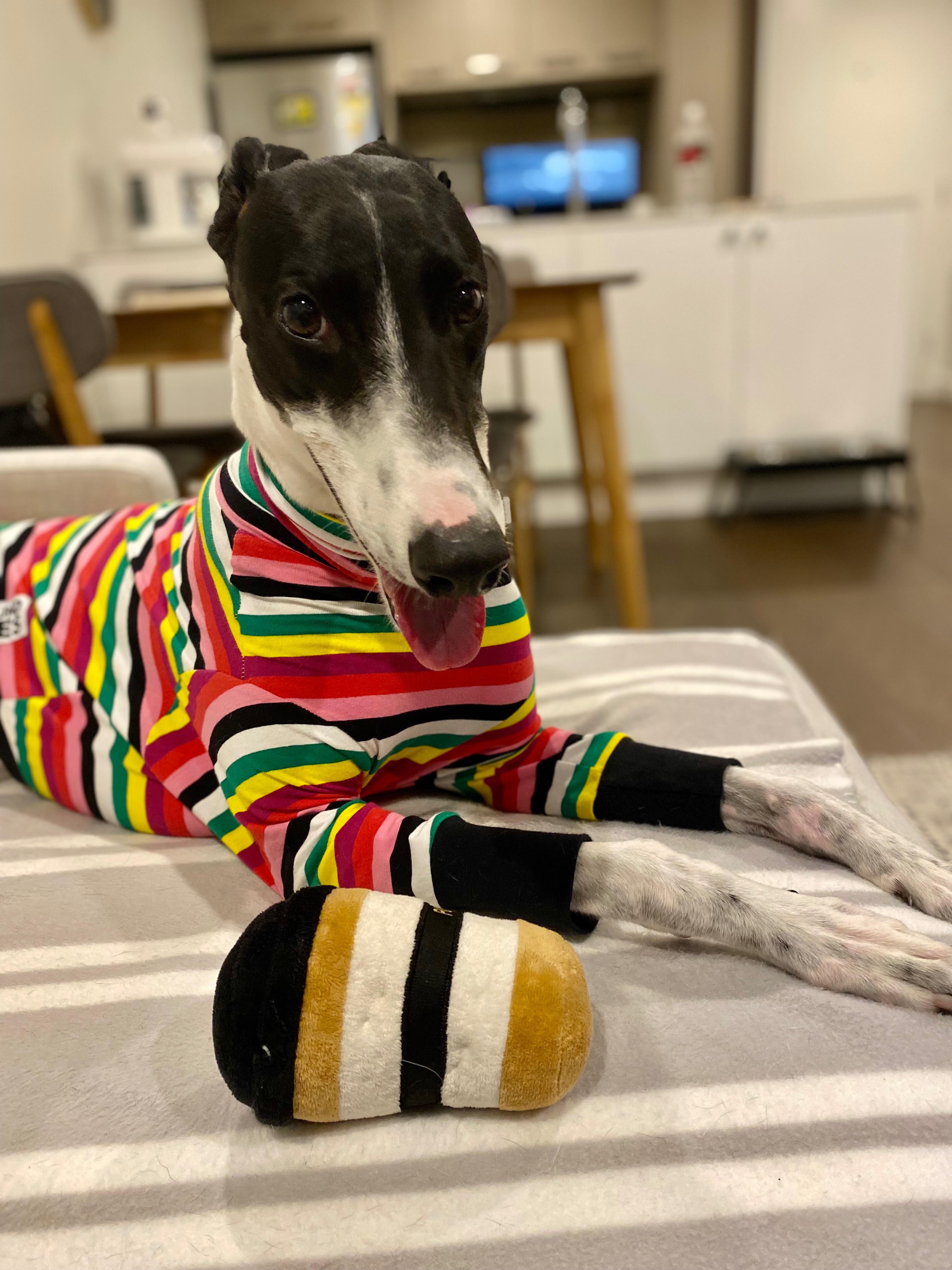 Patch’s Cancer Battle campaign photo, 2 of 8