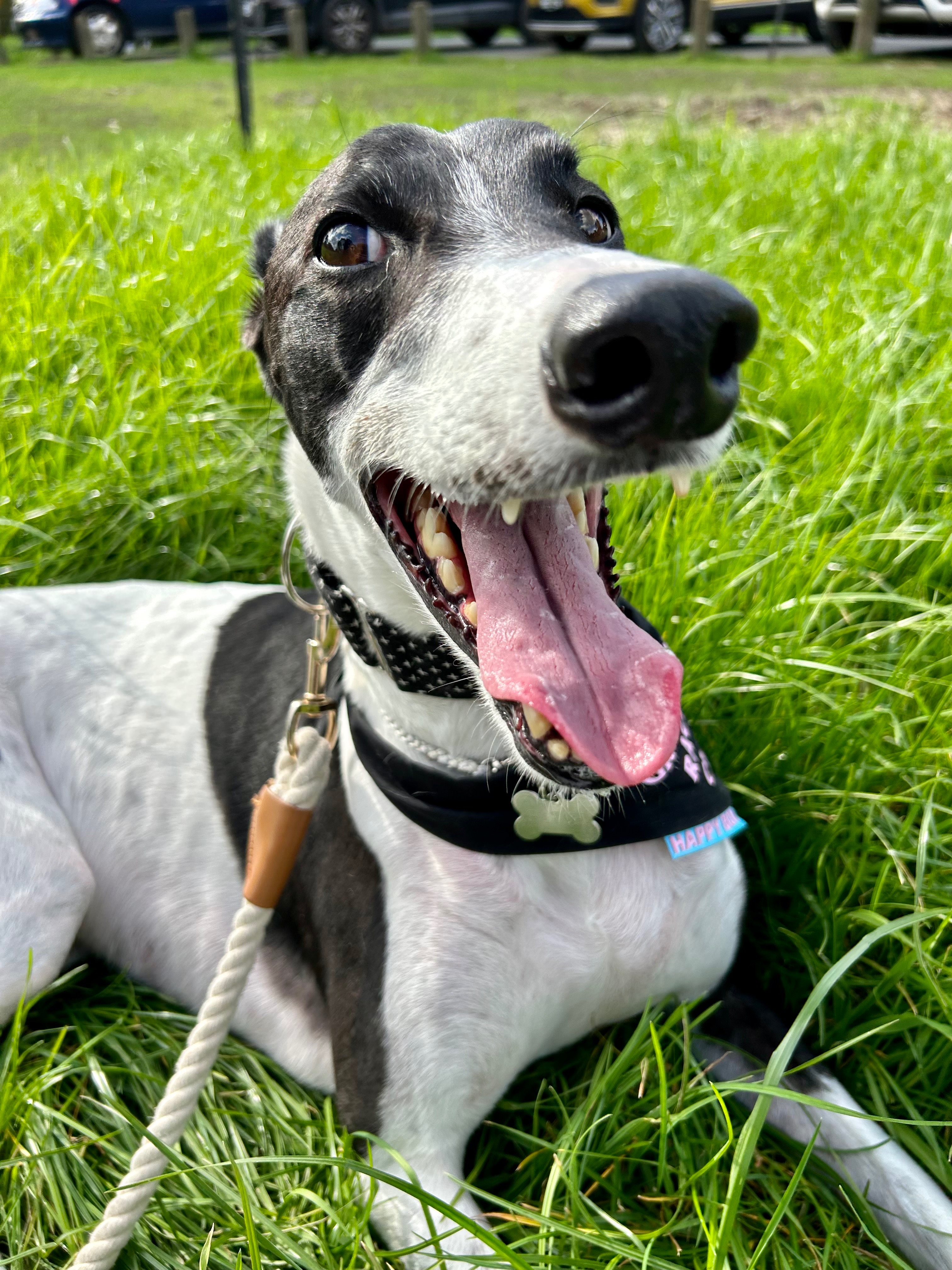 Patch’s Cancer Battle campaign photo, 4 of 8