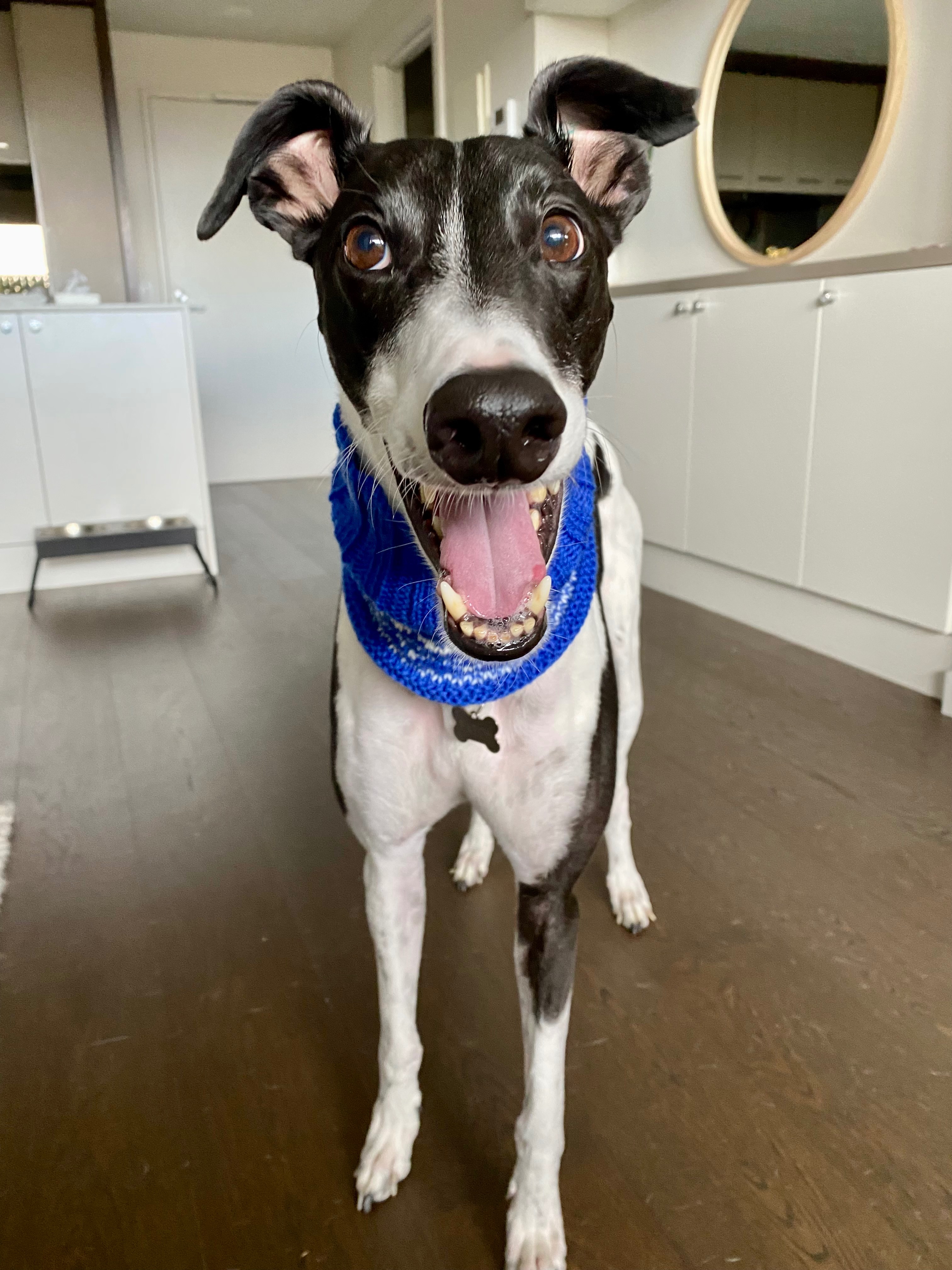 Patch’s Cancer Battle campaign photo, 5 of 8