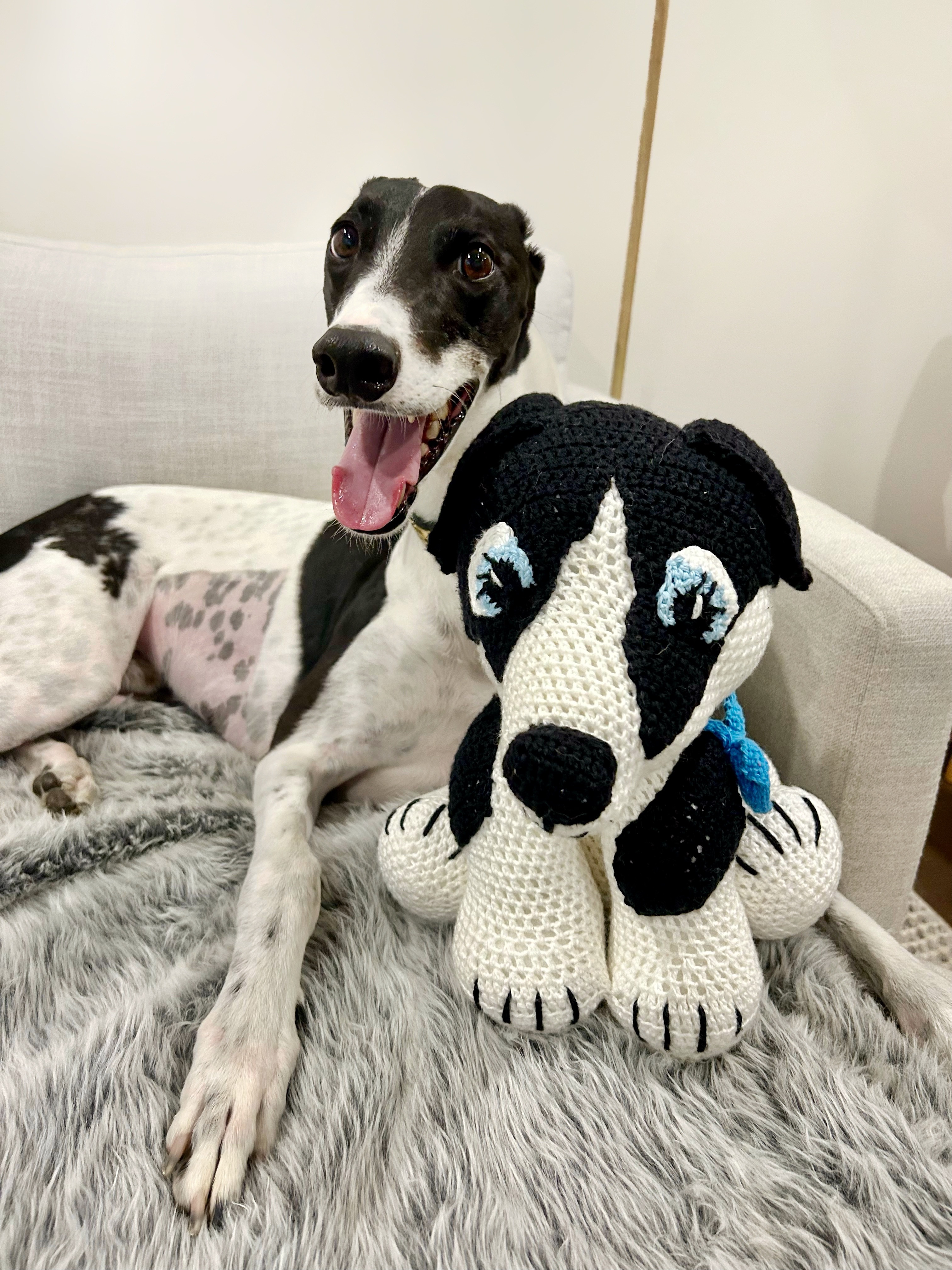 Patch’s Cancer Battle campaign photo, 6 of 8
