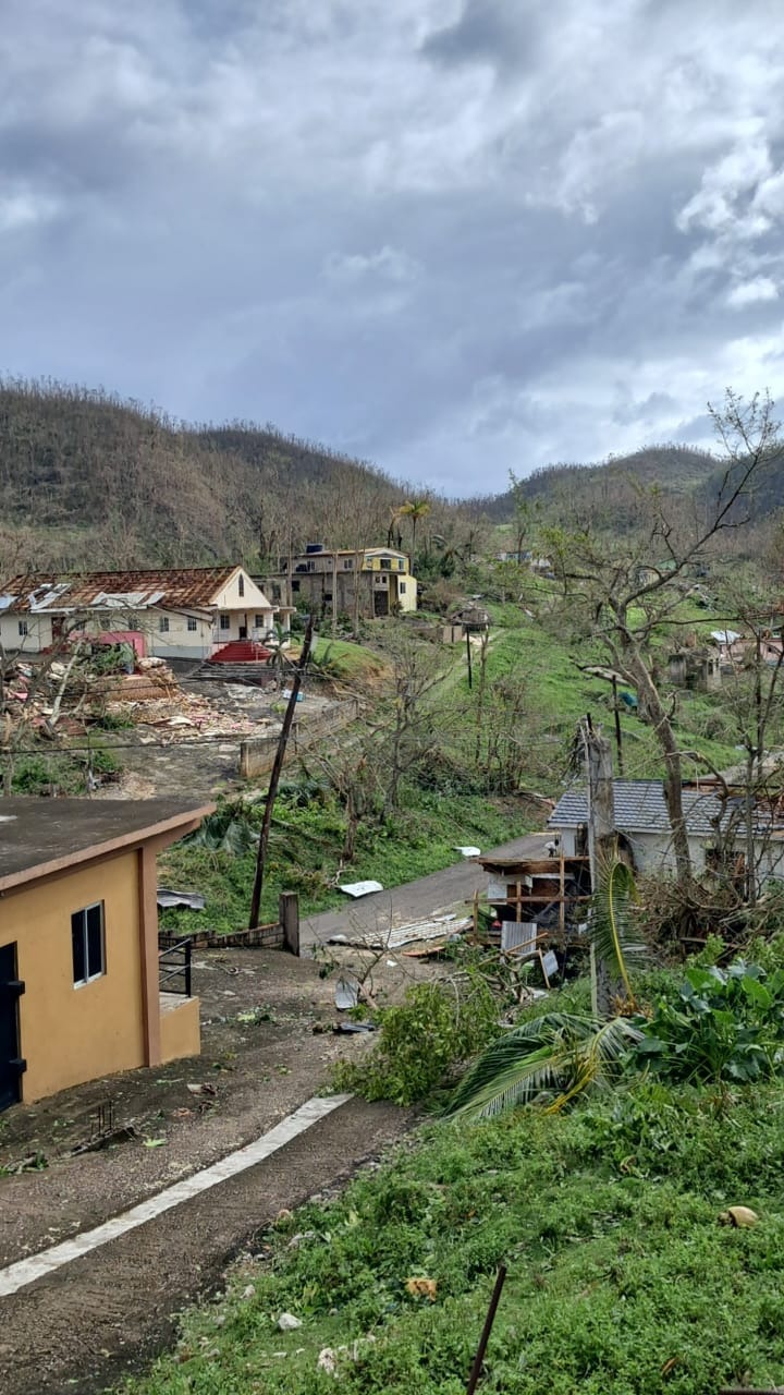 Help My Family in Jamaica Rebuild campaign photo, 4 of 6