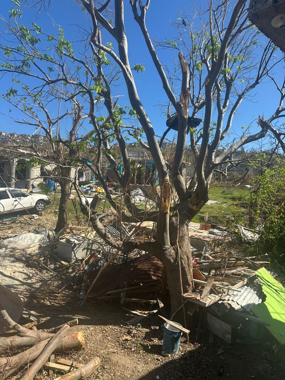 Help Derron and His Family Rebuild After Hurricane Melissa campaign photo, 4 of 8