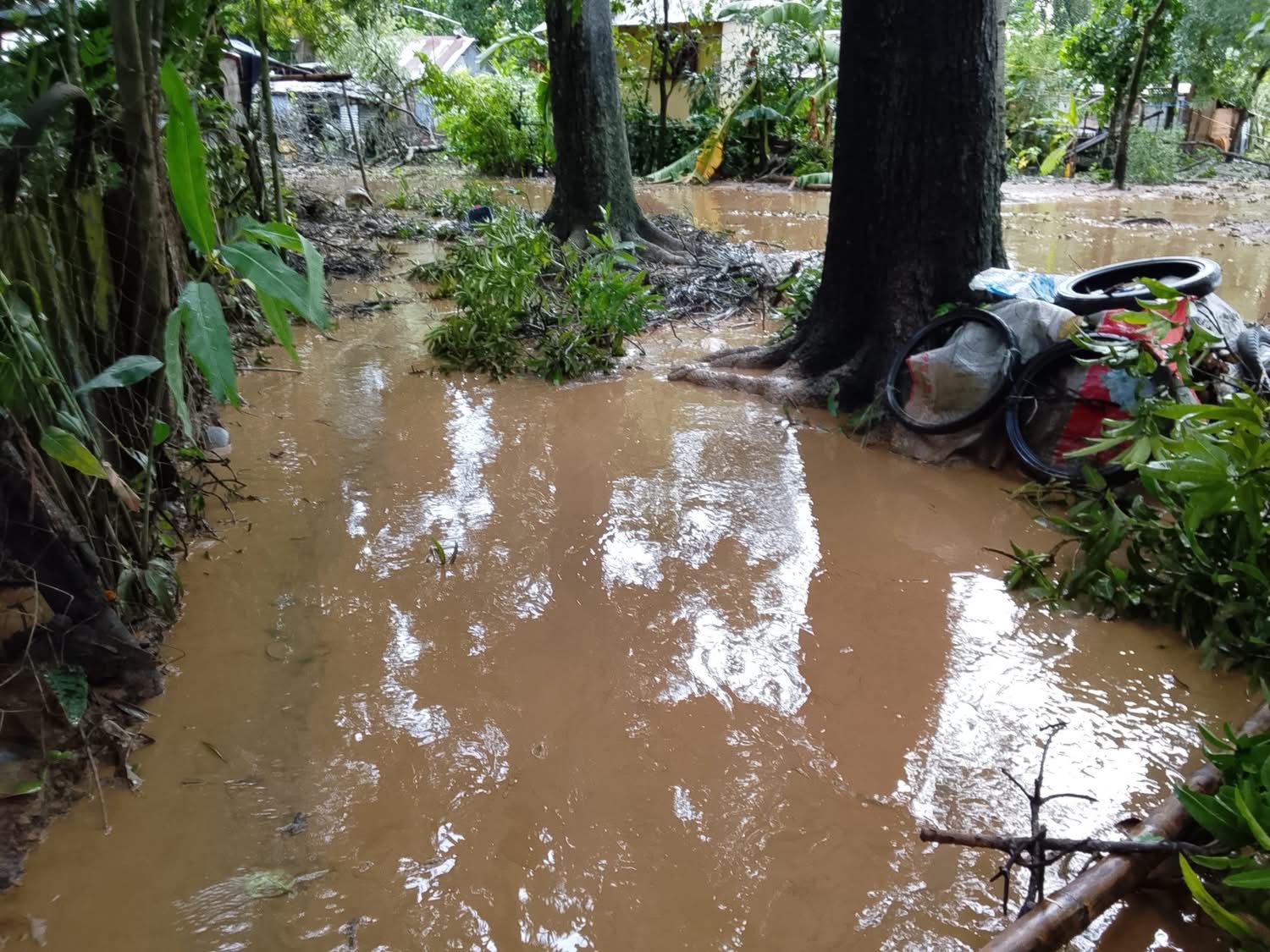 Donate to Restore Lives in Negros Occidental campaign photo, 5 of 8