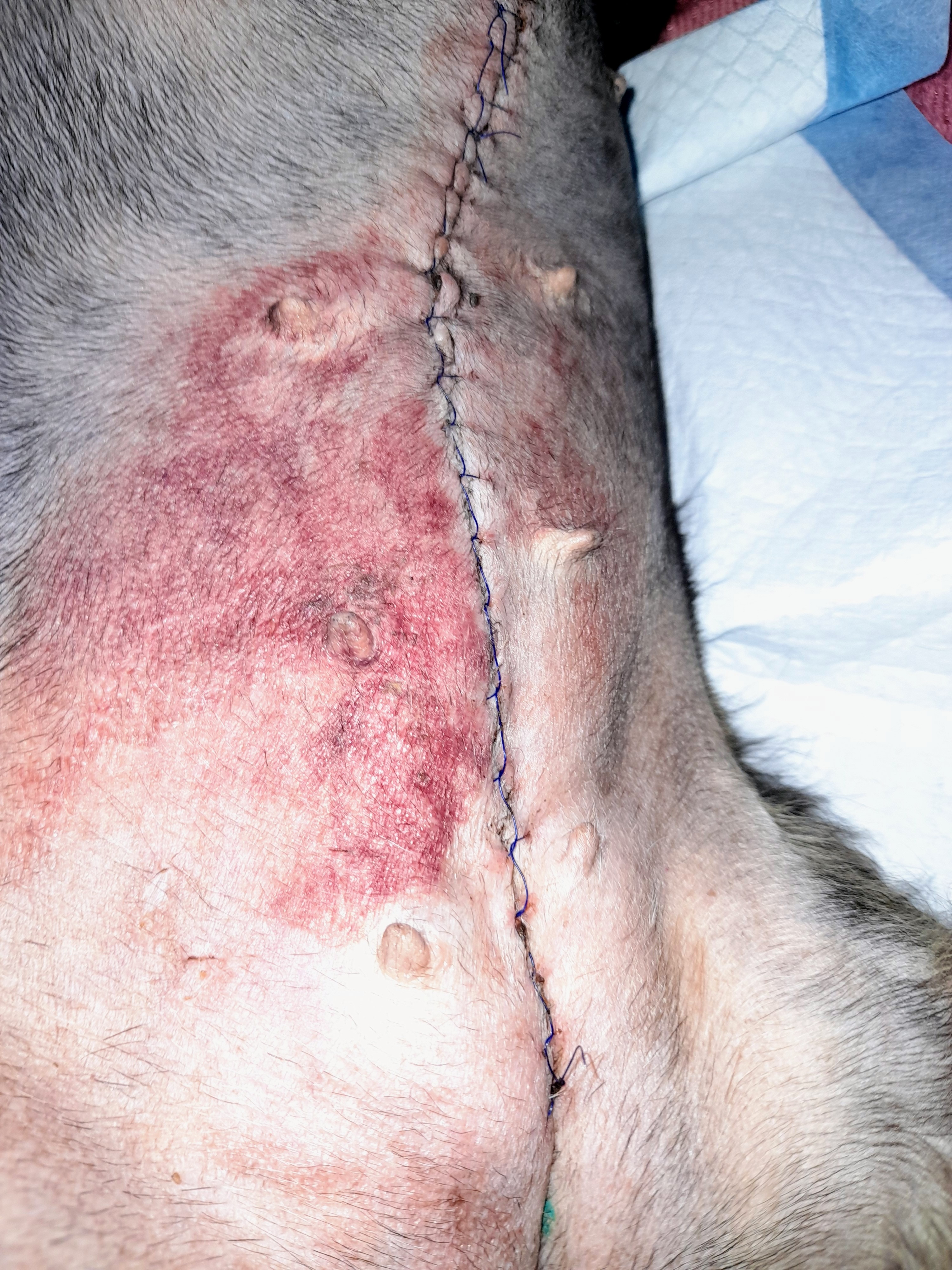 User-uploaded image 1