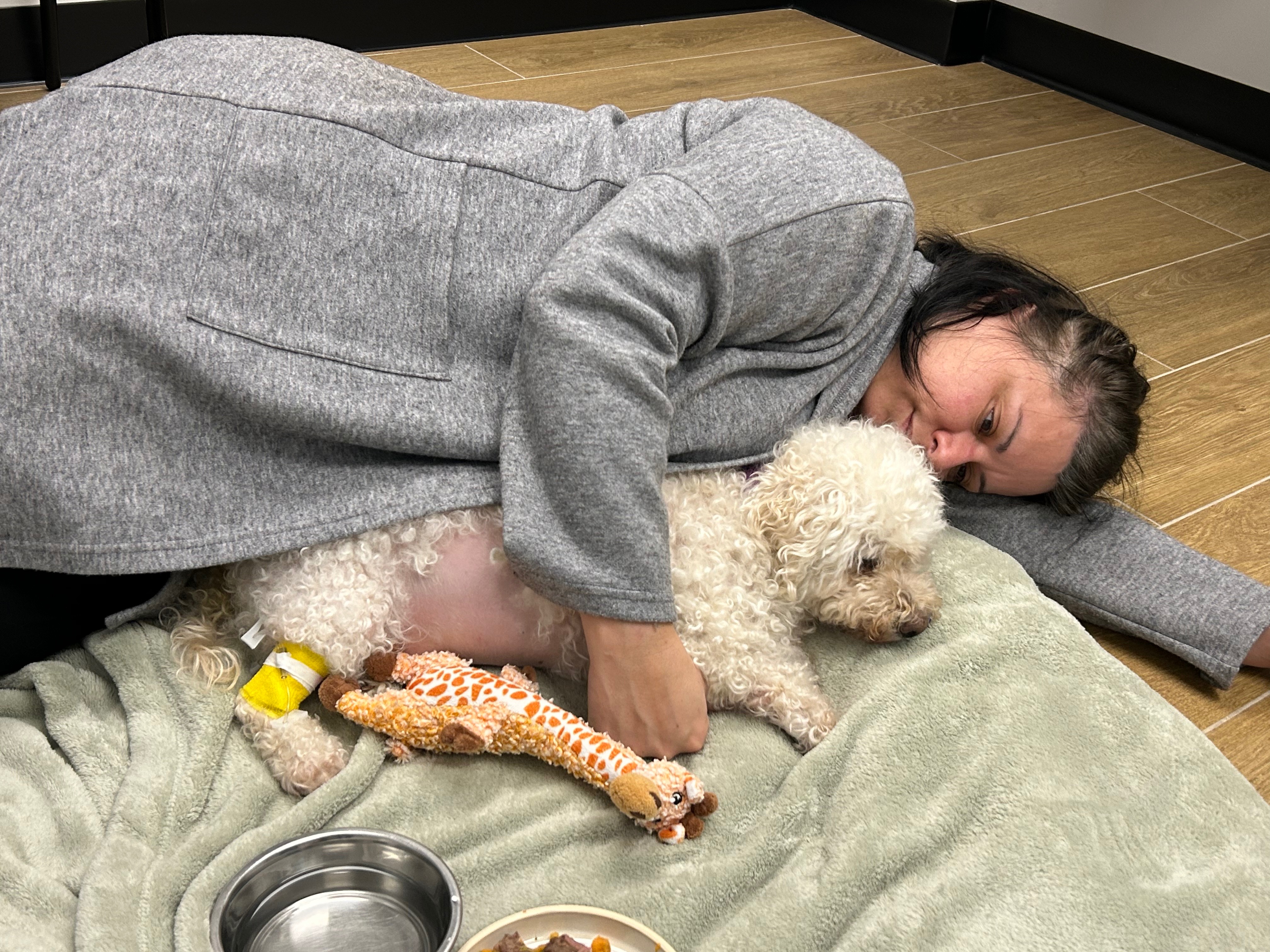 Overwhelming vet costs campaign photo, 4 of 7