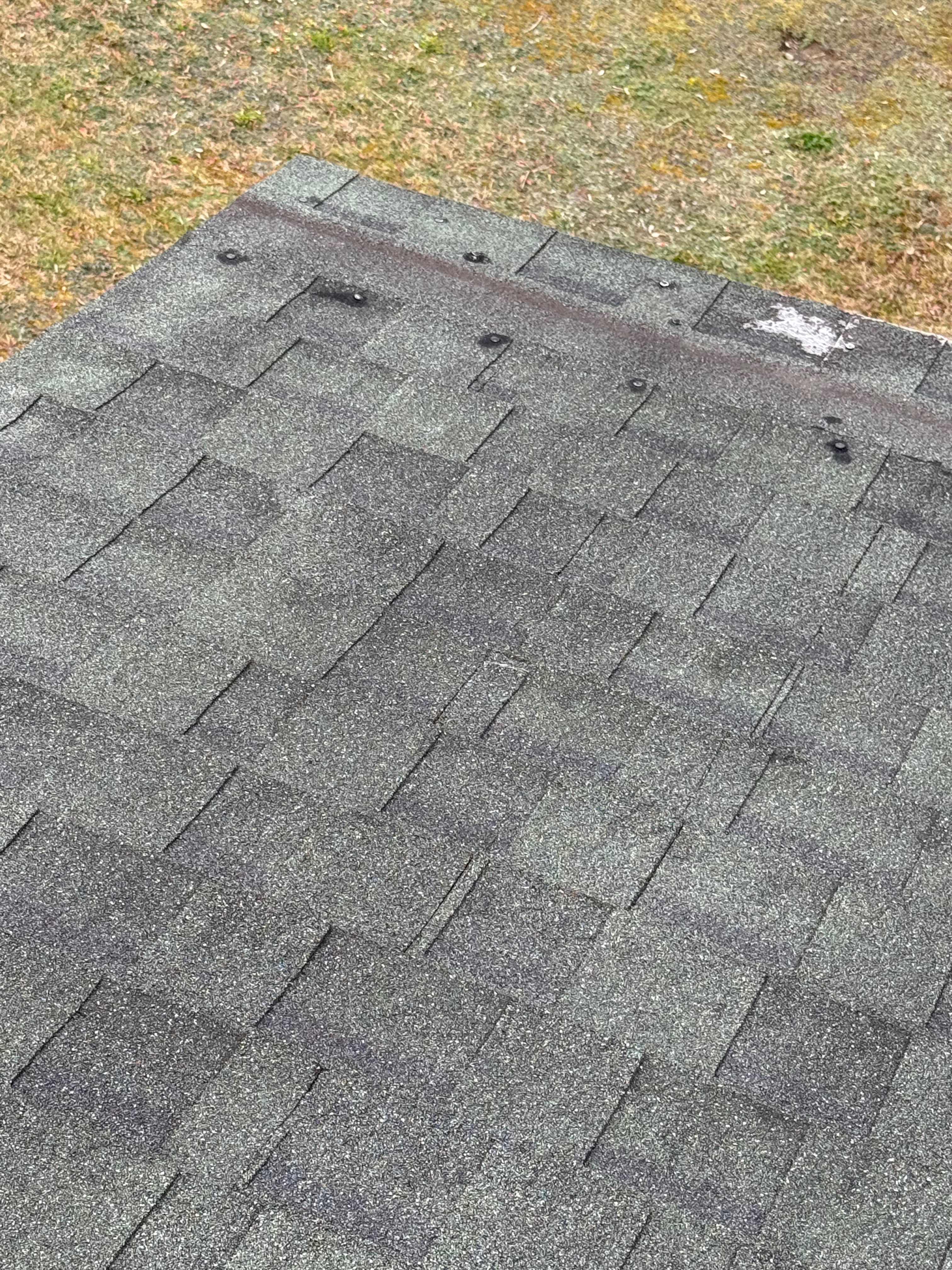 Help Evelyn Repair Her Leaking Roof campaign photo, 7 of 8