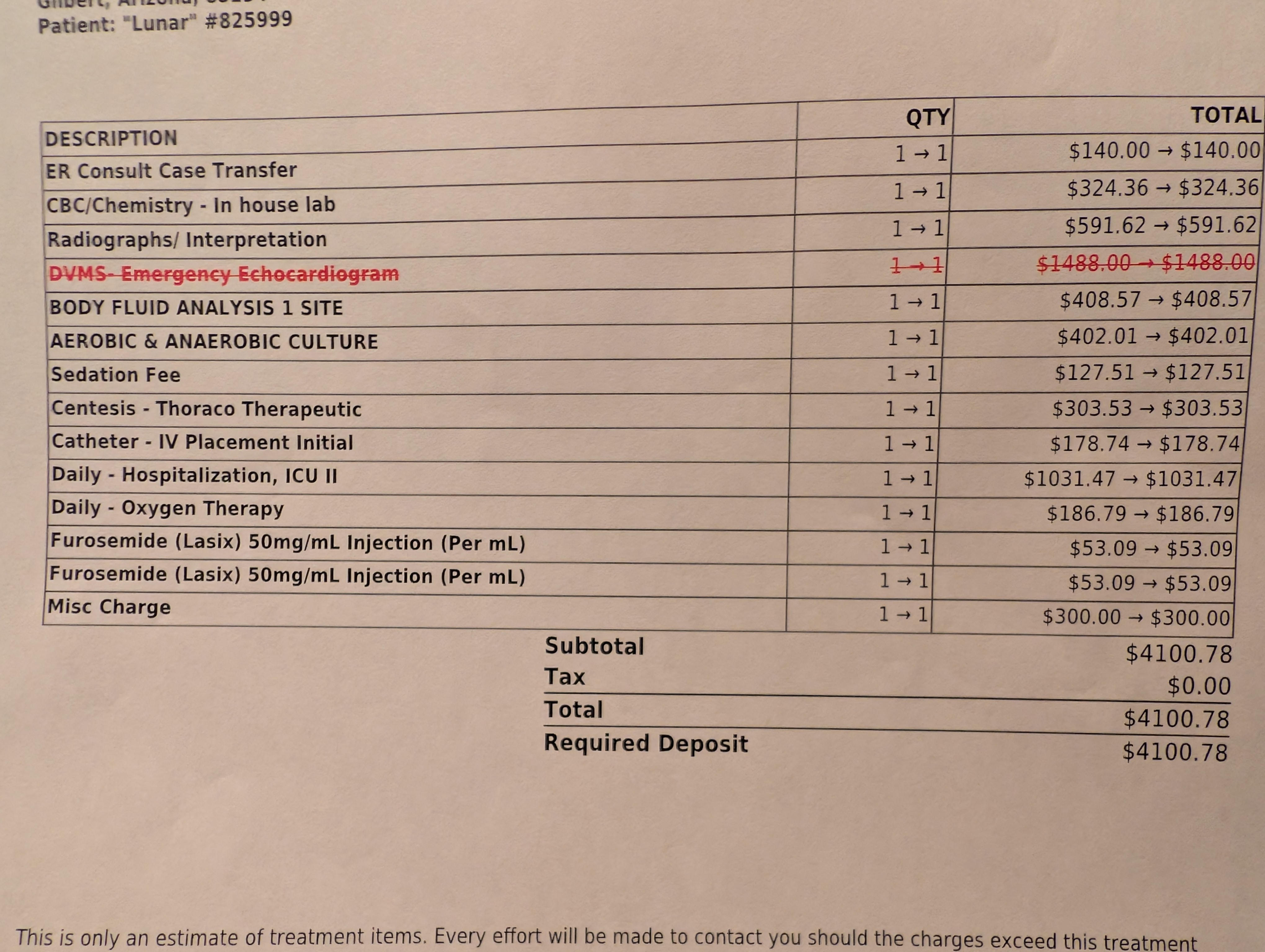 RIP Lunar: Emergency Vet Bills Assistance campaign photo, 2 of 6