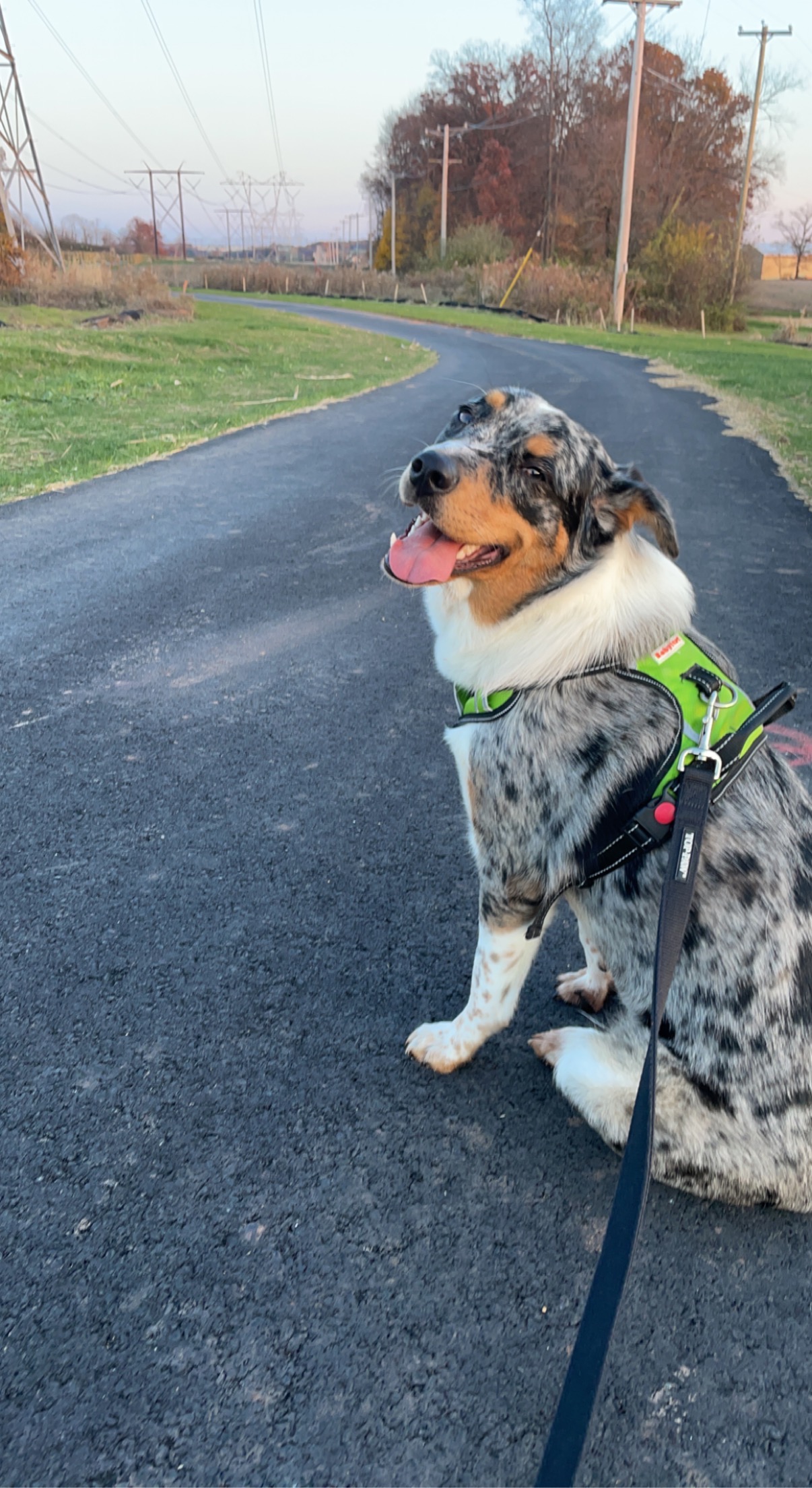 Help Margot Walk Again: Support Her ACL Surgery campaign photo, 7 of 8