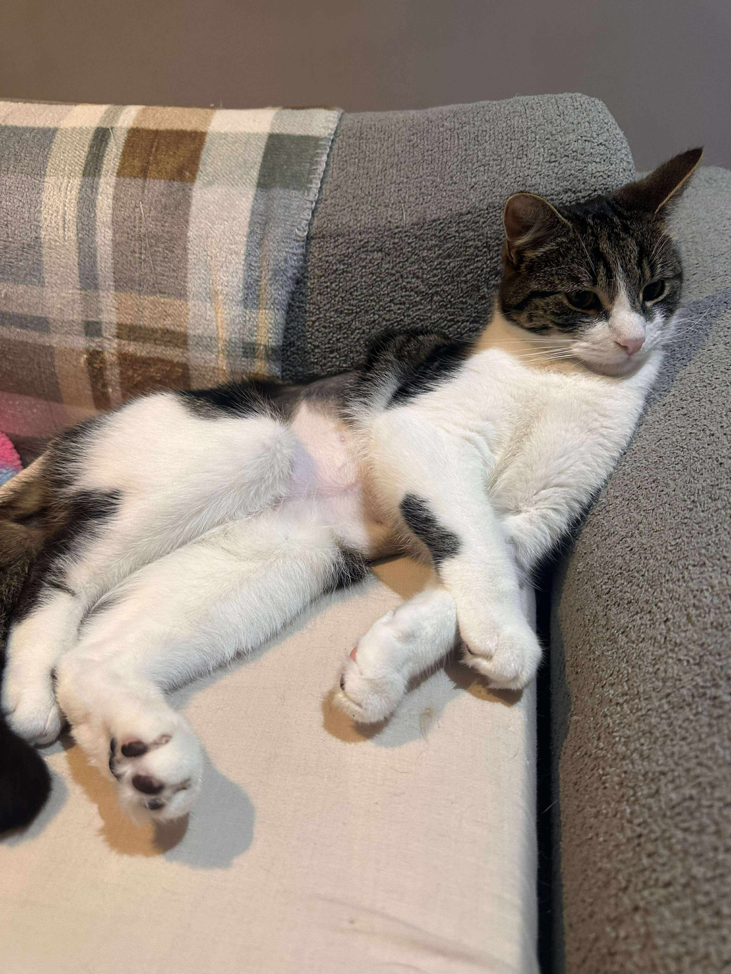 Rudy needs life-saving surgery campaign photo, 4 of 7