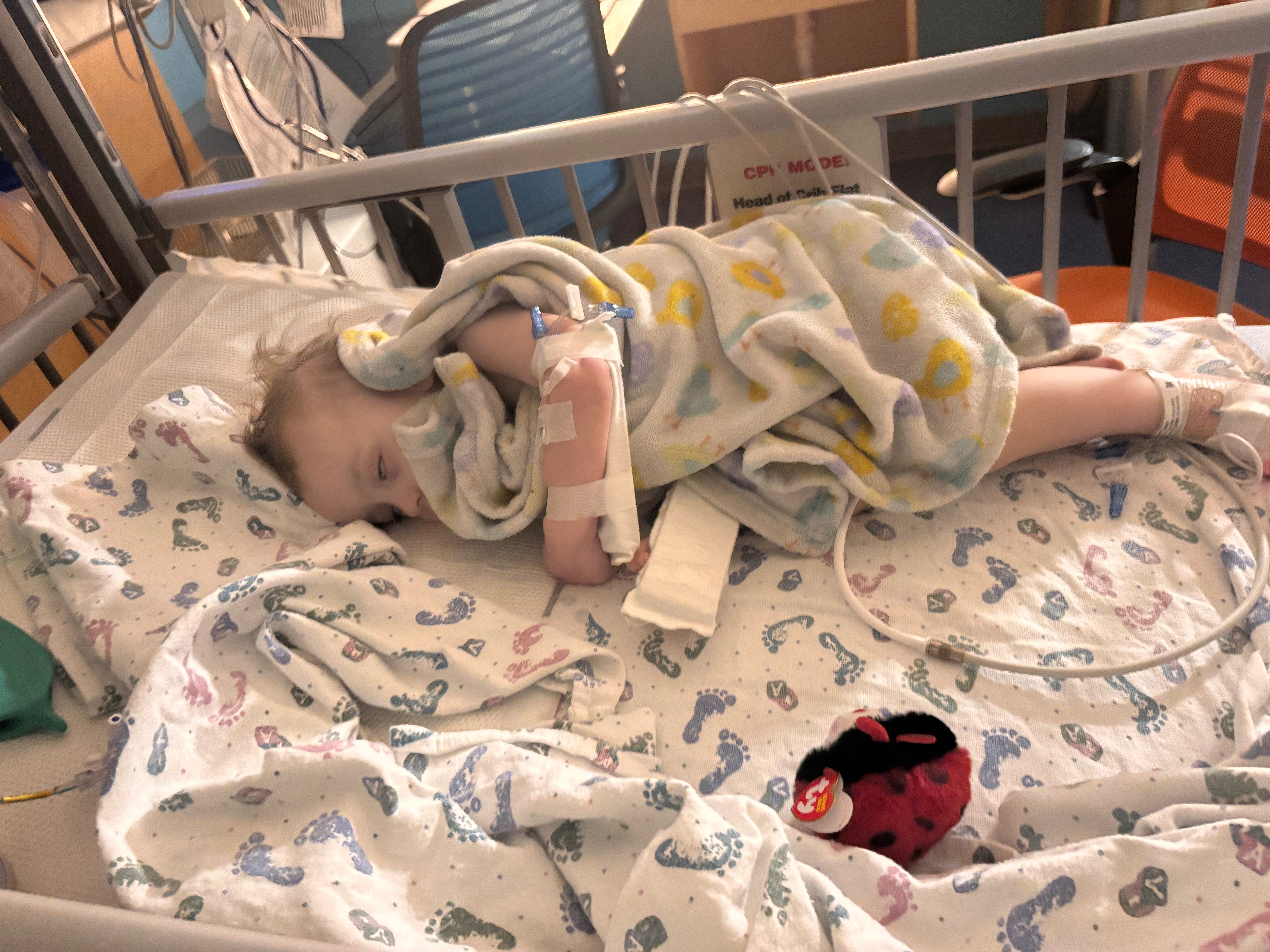 Support Haisley’s recovery and family campaign photo, 2 of 5