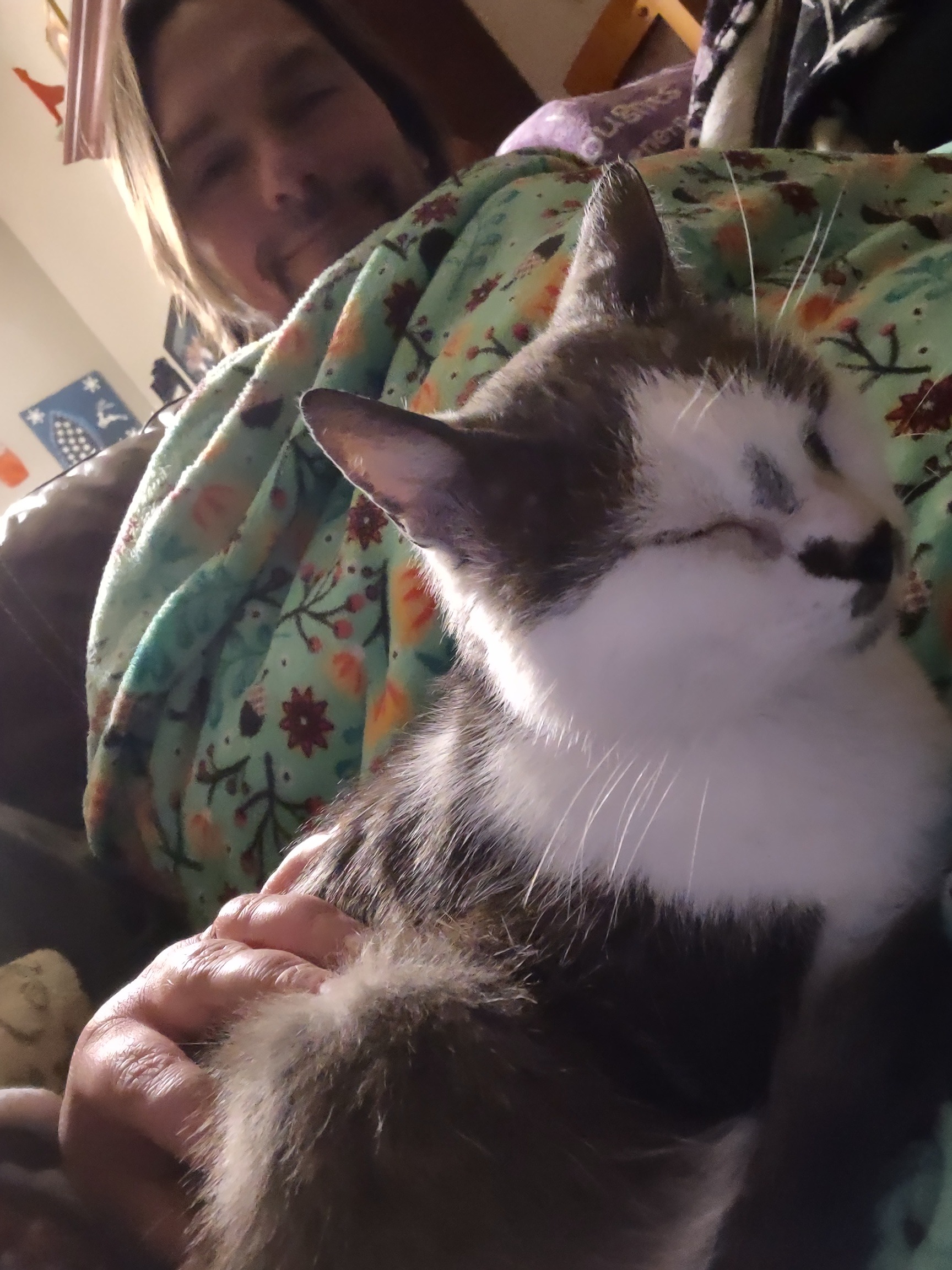 Help Sweets Get the Vet Care He Needs campaign photo, 2 of 7