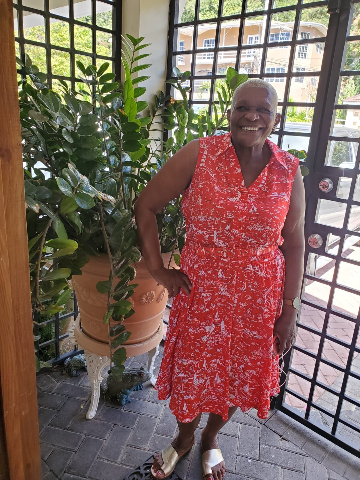 Help Merle Walk Again — Every Step Counts campaign photo, 6 of 7