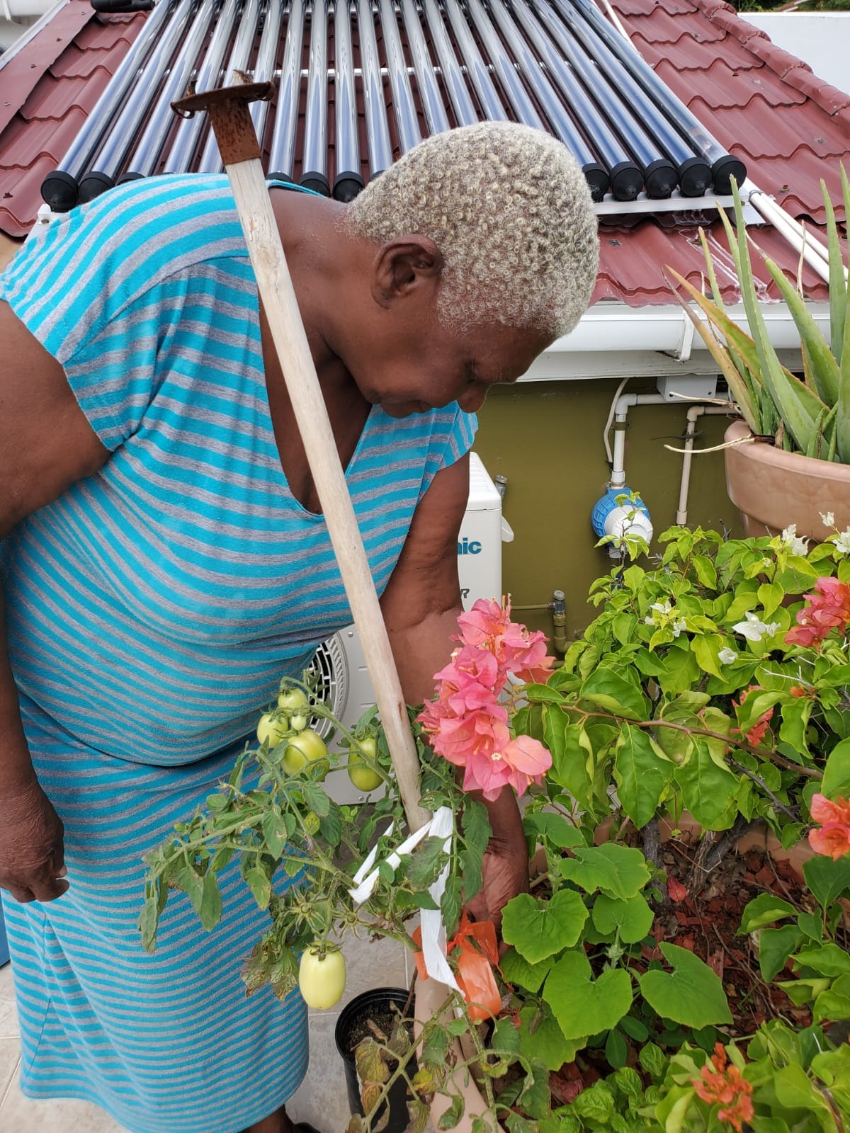 Help Merle Walk Again — Every Step Counts campaign photo, 2 of 7