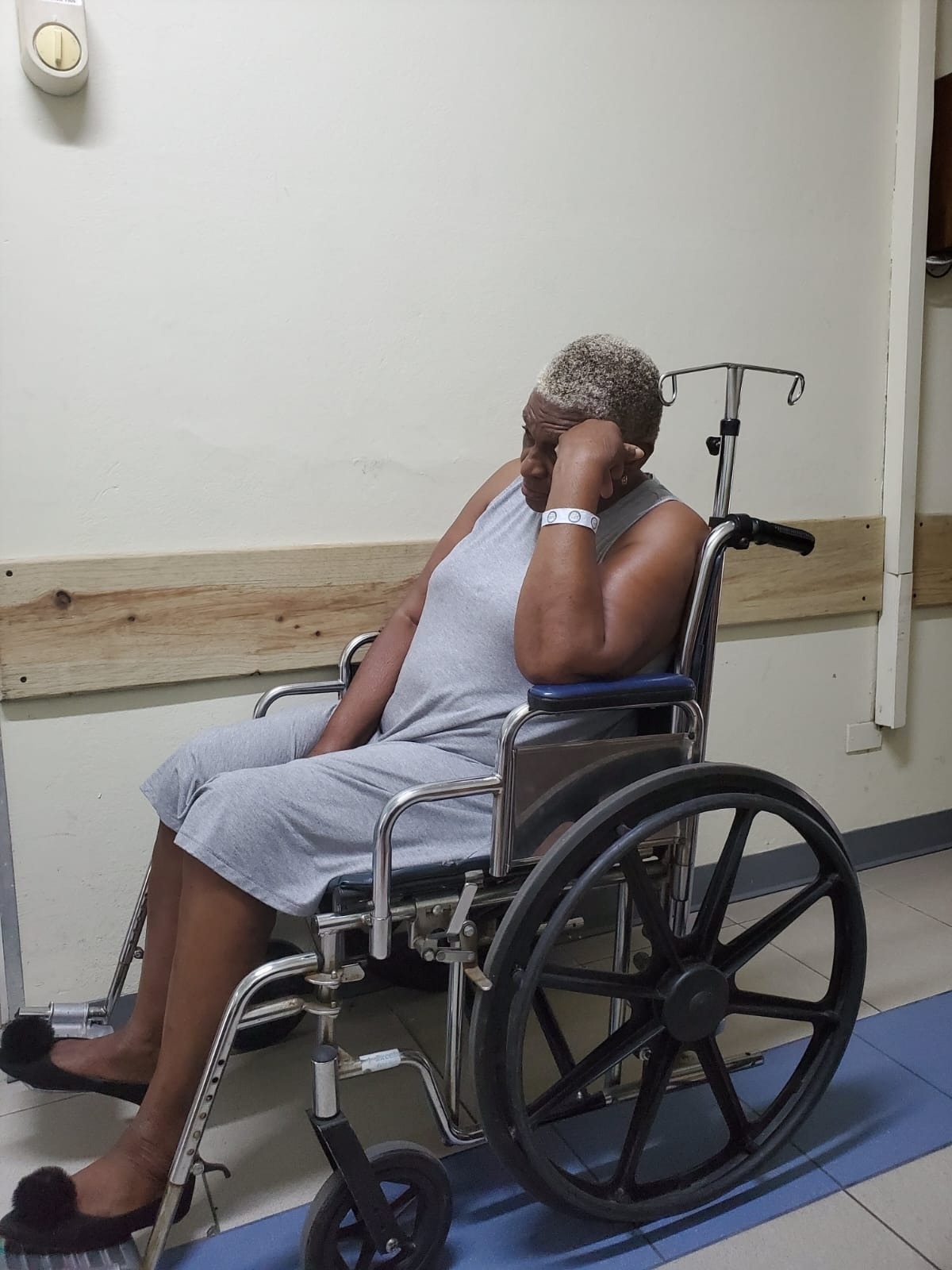 Help Merle Walk Again — Every Step Counts campaign photo, 4 of 7