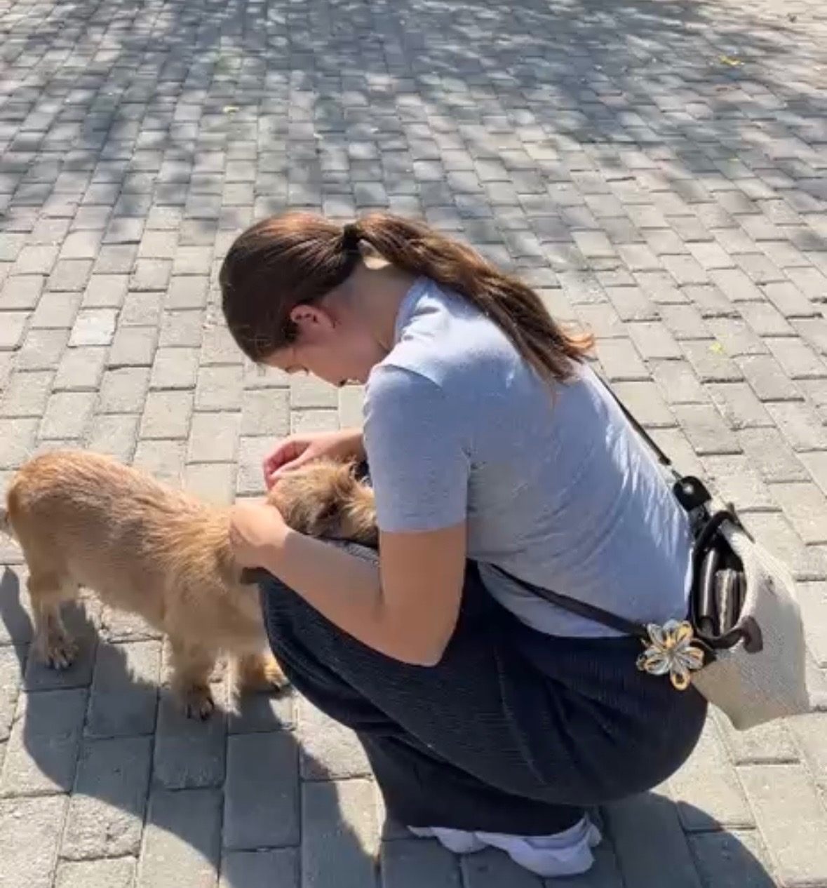 Help Straatdieren in Turkije aan een warm en veilig plekje campaign photo, 5 of 8