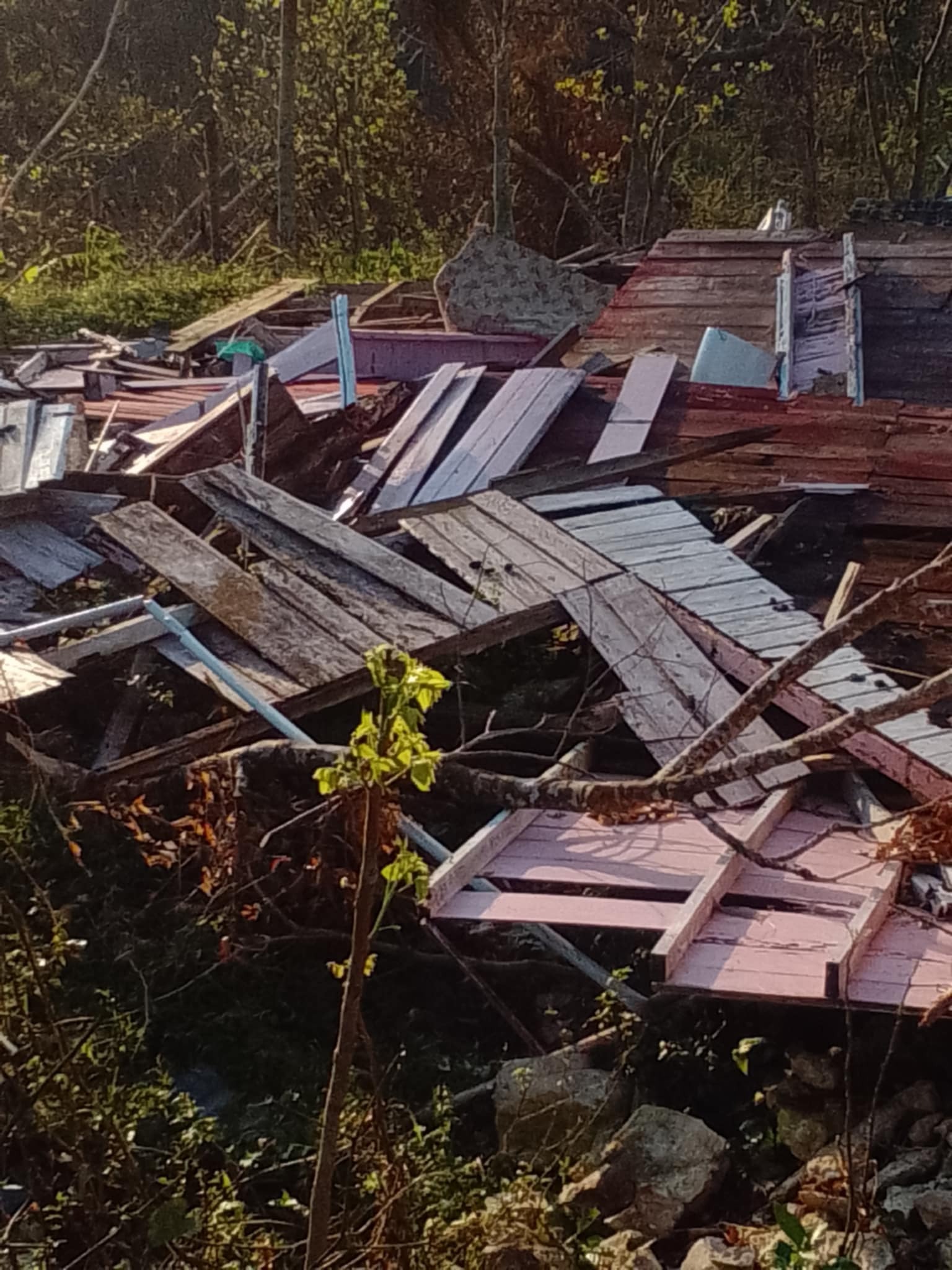 Jamaica Needs Us Now: Rebuild Hope After the Storm ❤️ campaign photo, 5 of 8