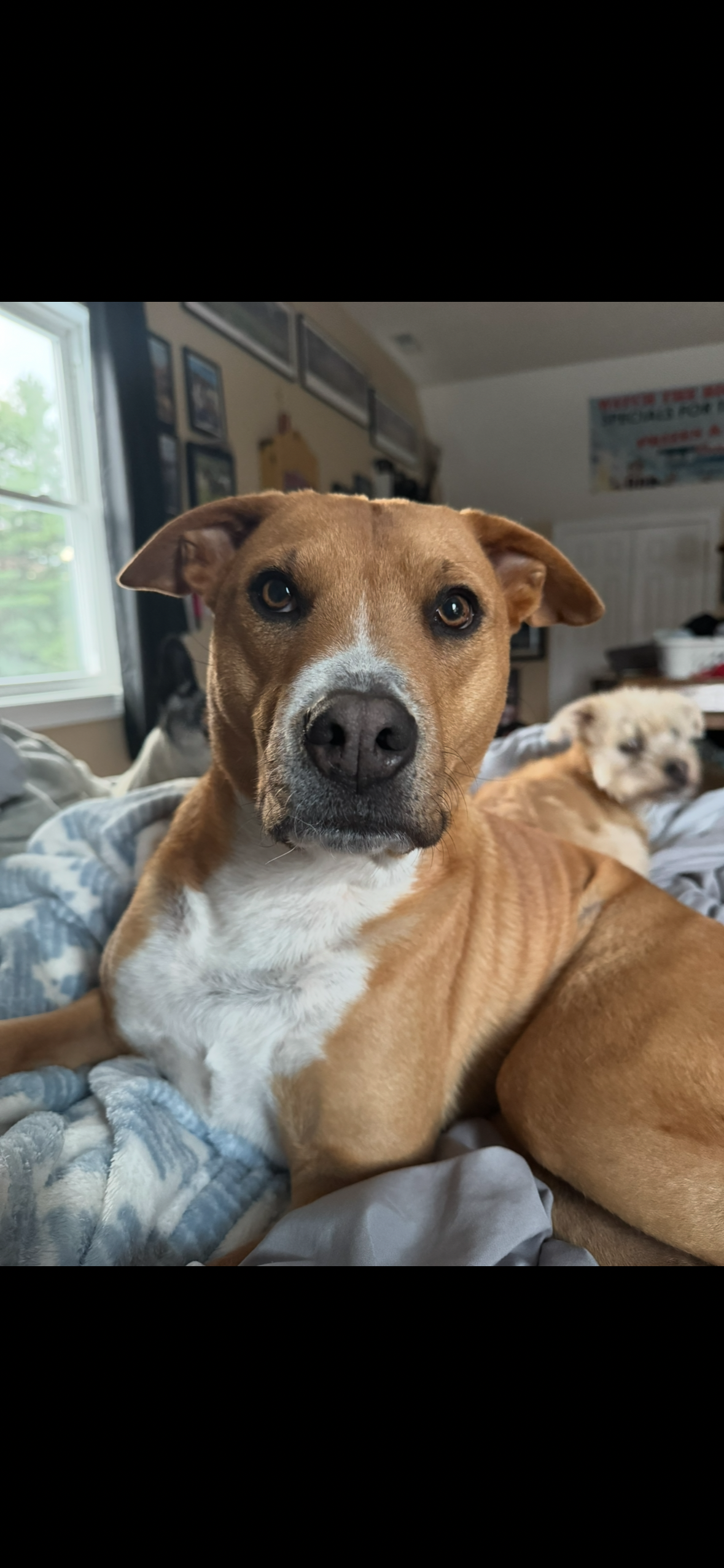 Support Cole's ACL Surgery Recovery campaign photo, 5 of 7