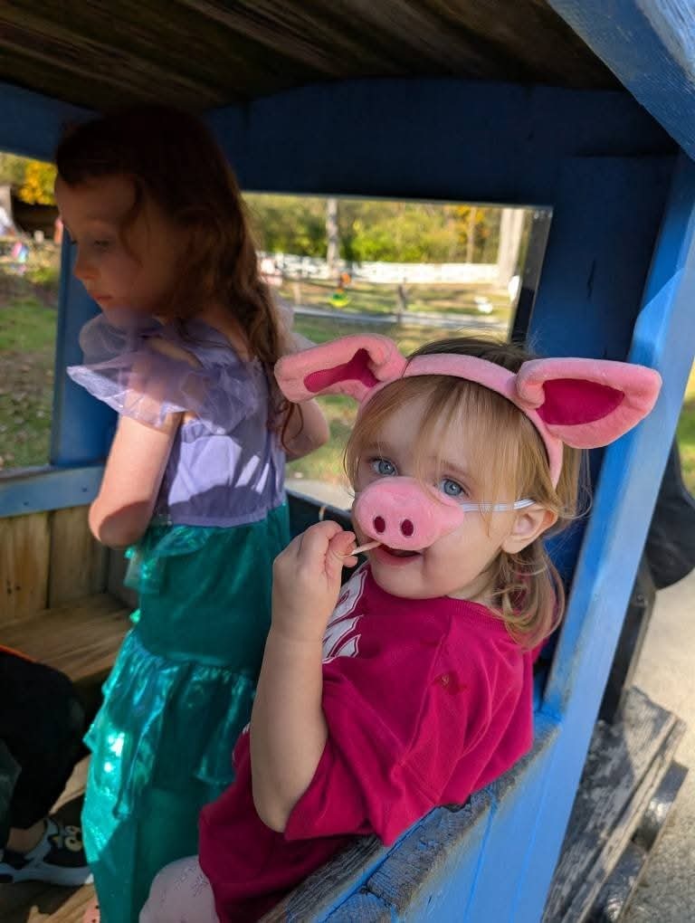 Support the Kuntz Family's Battle Against Lyme Disease campaign photo, 5 of 8