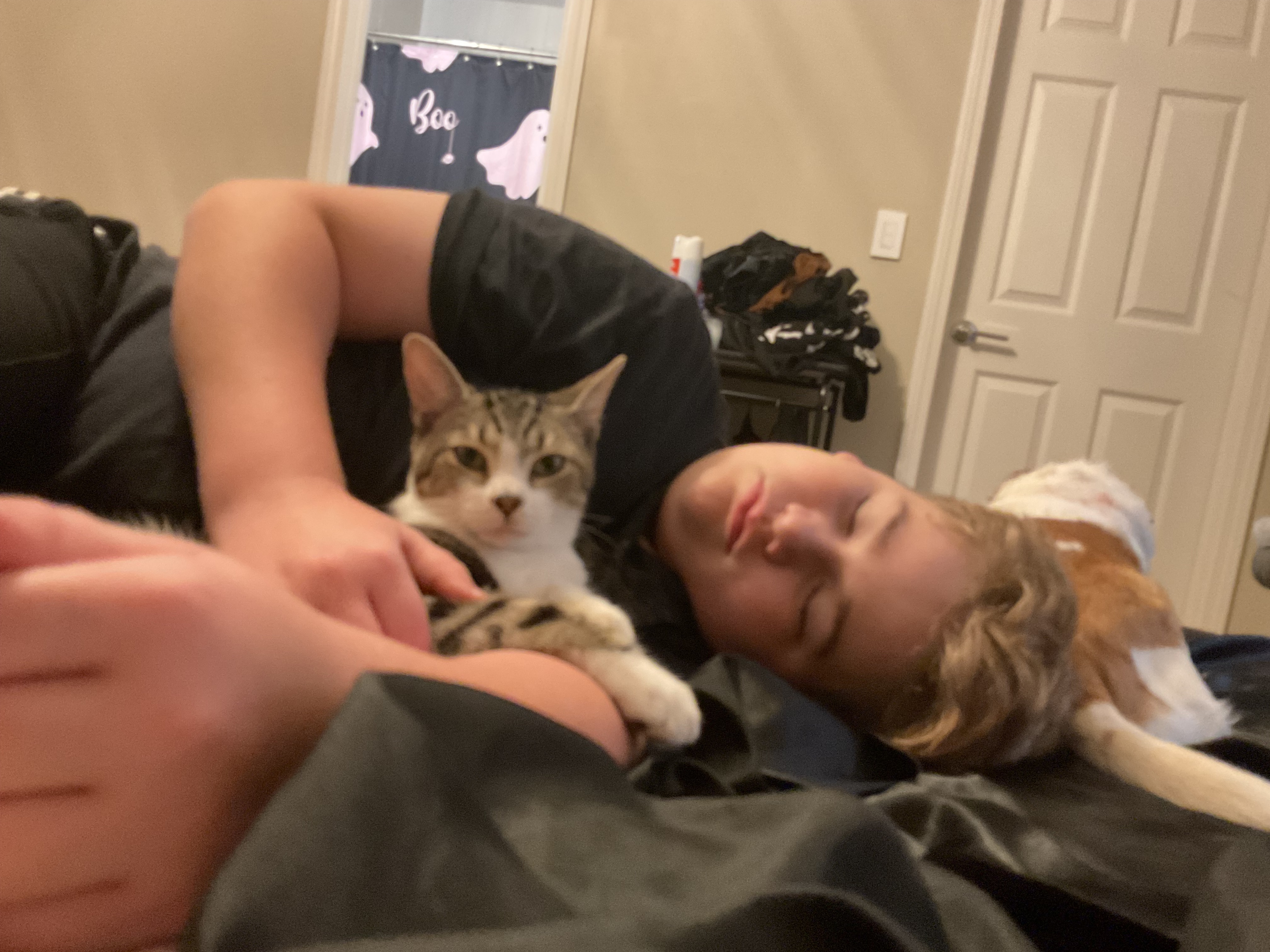 Help Save My Son’s Cat’s Leg — Urgent Surgery Needed campaign photo, 2 of 8
