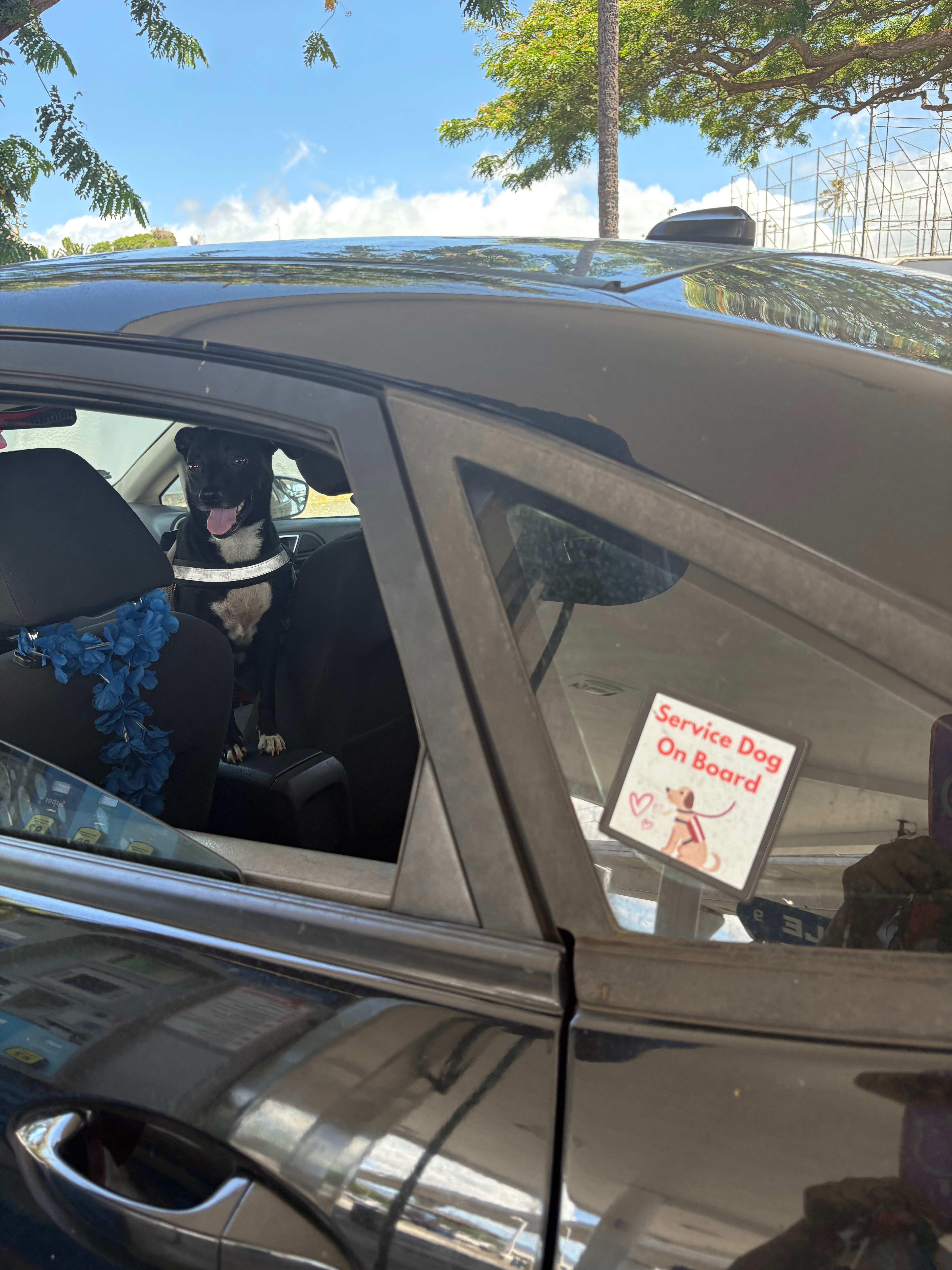 Help Secure a Reliable Car for Business Growth campaign photo, 4 of 6