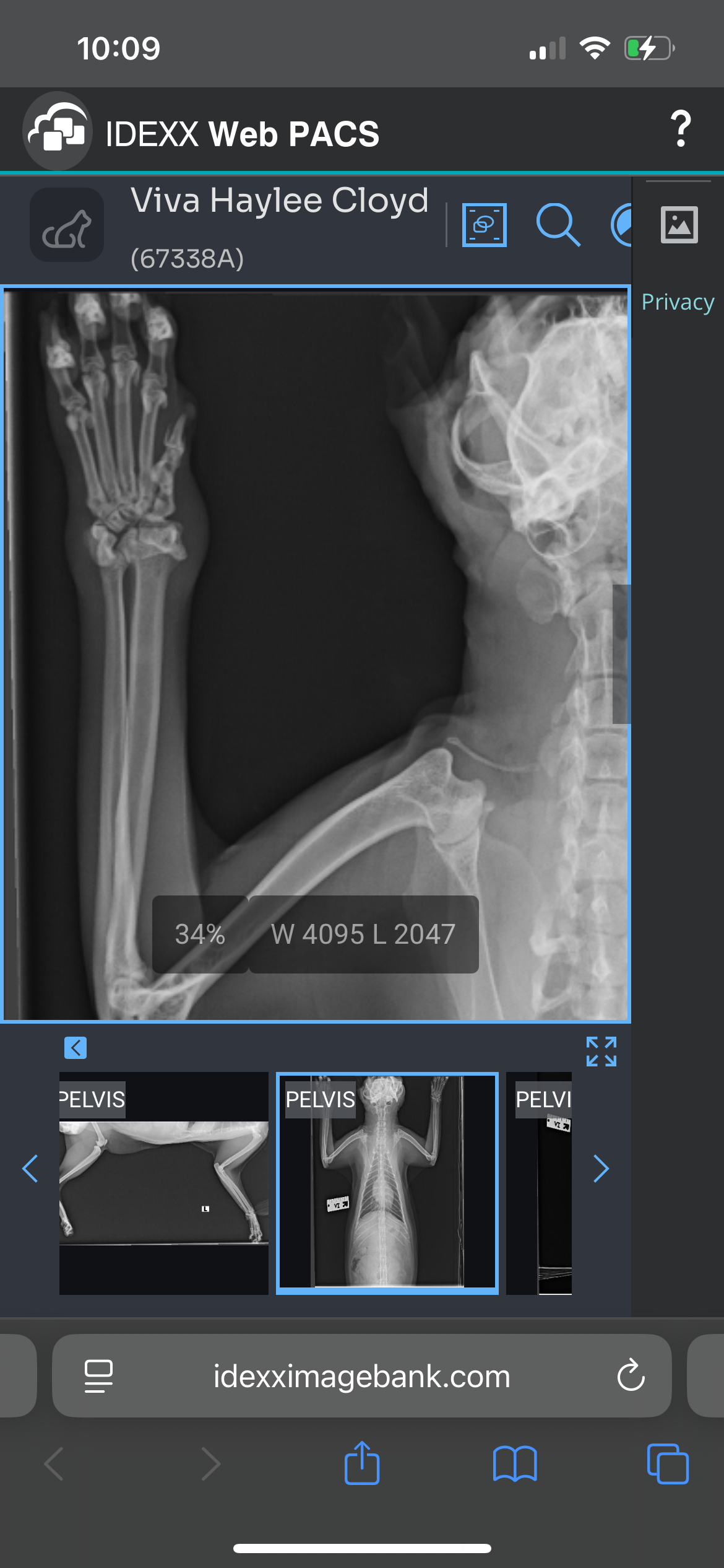 Help Viva after Her Accident — FHO Surgery Fun campaign photo, 4 of 8