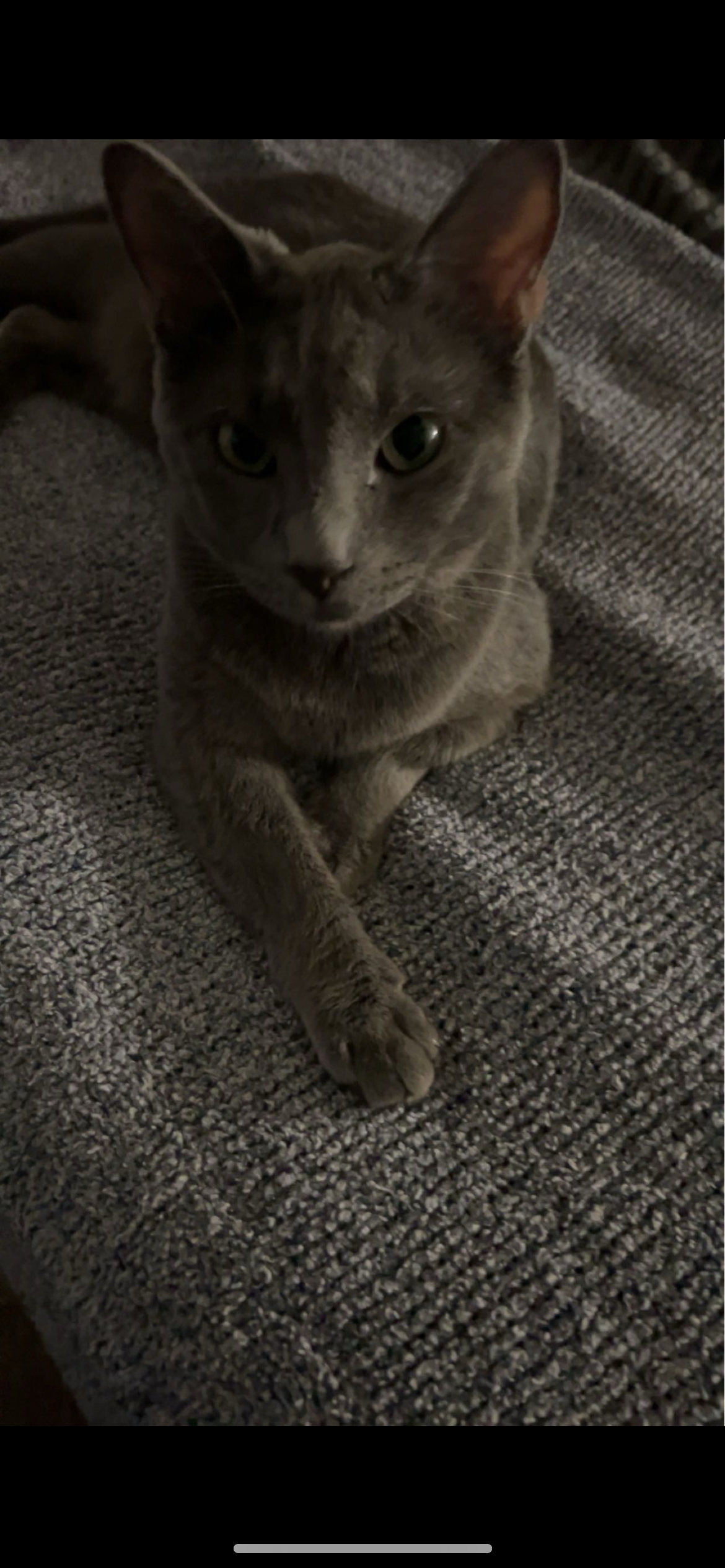 Help Viva after Her Accident — FHO Surgery Fun campaign photo, 5 of 8